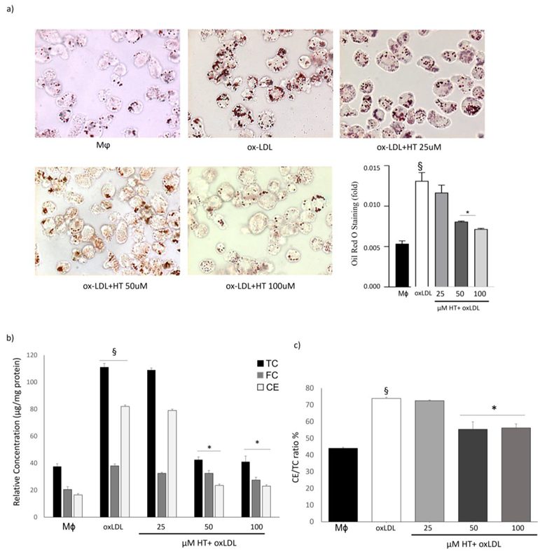 Ijms 24 02057 g002 Ijms 24 02057 g002