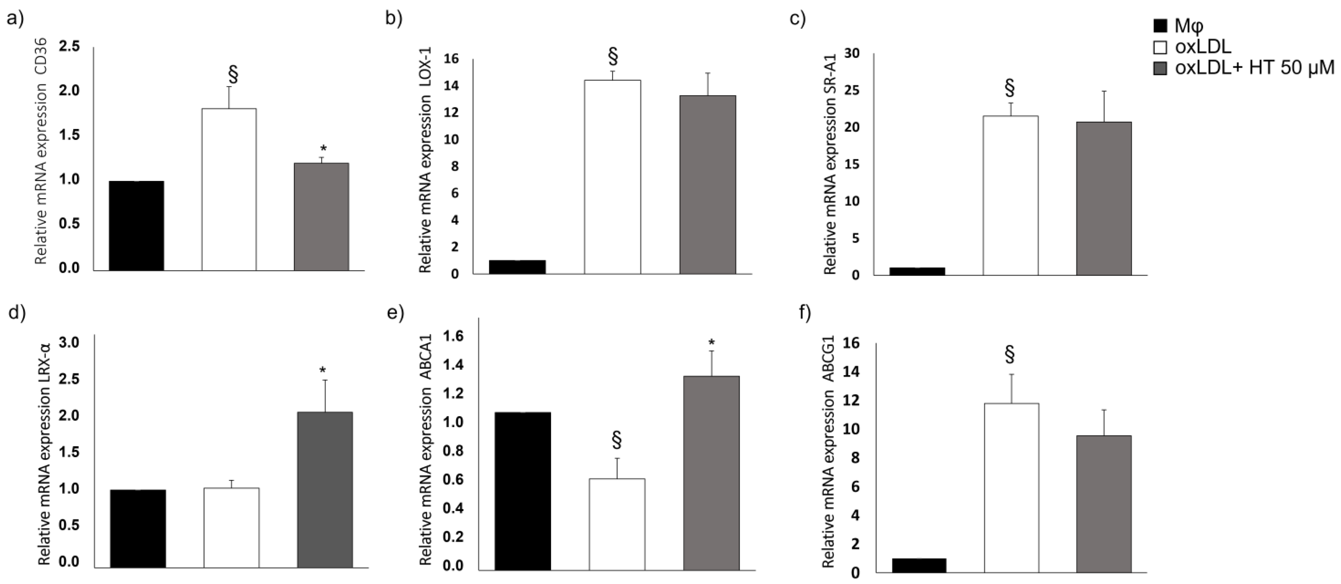 Ijms 24 02057 g003 Ijms 24 02057 g003