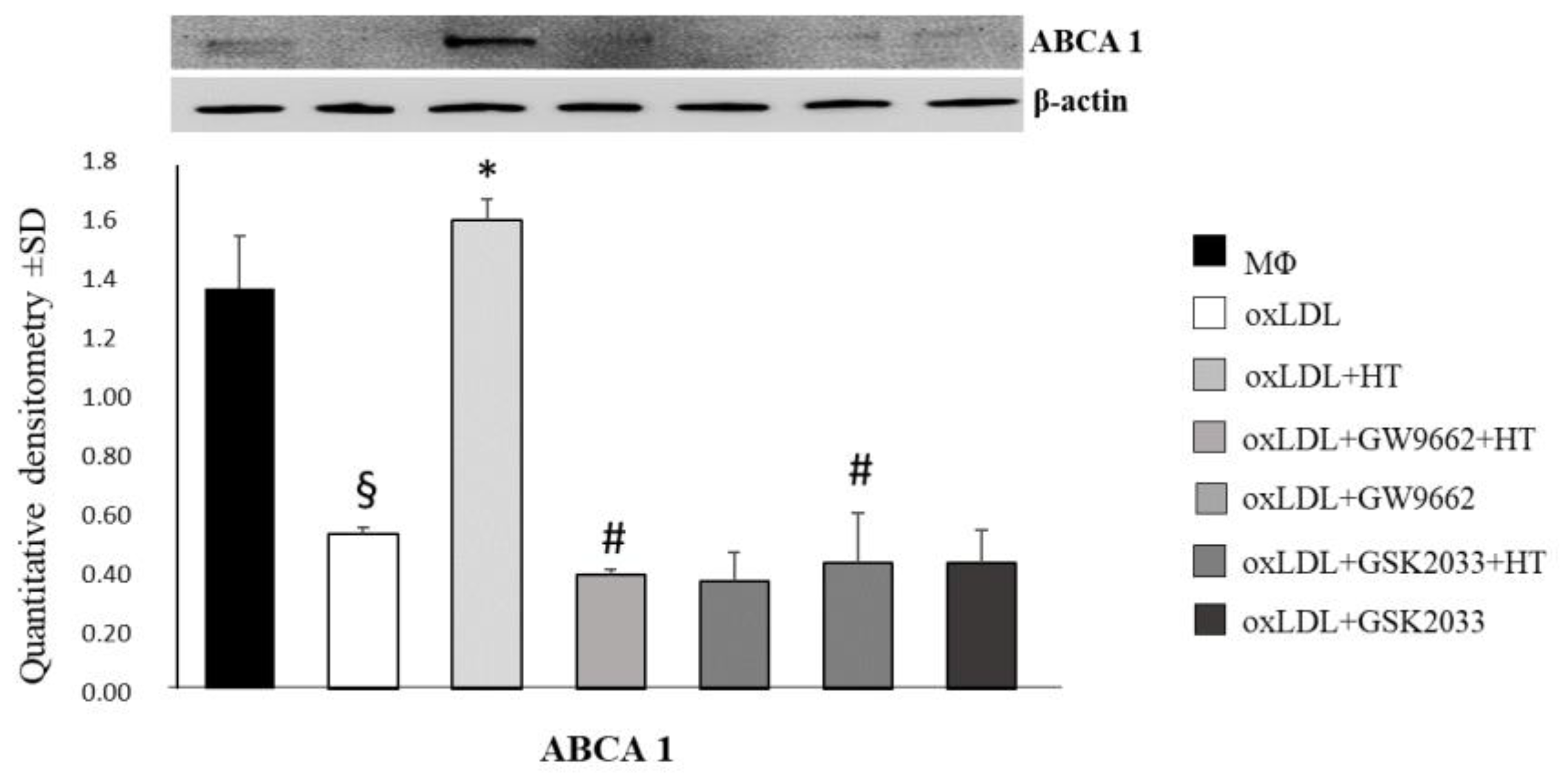 Ijms 24 02057 g006 Ijms 24 02057 g006