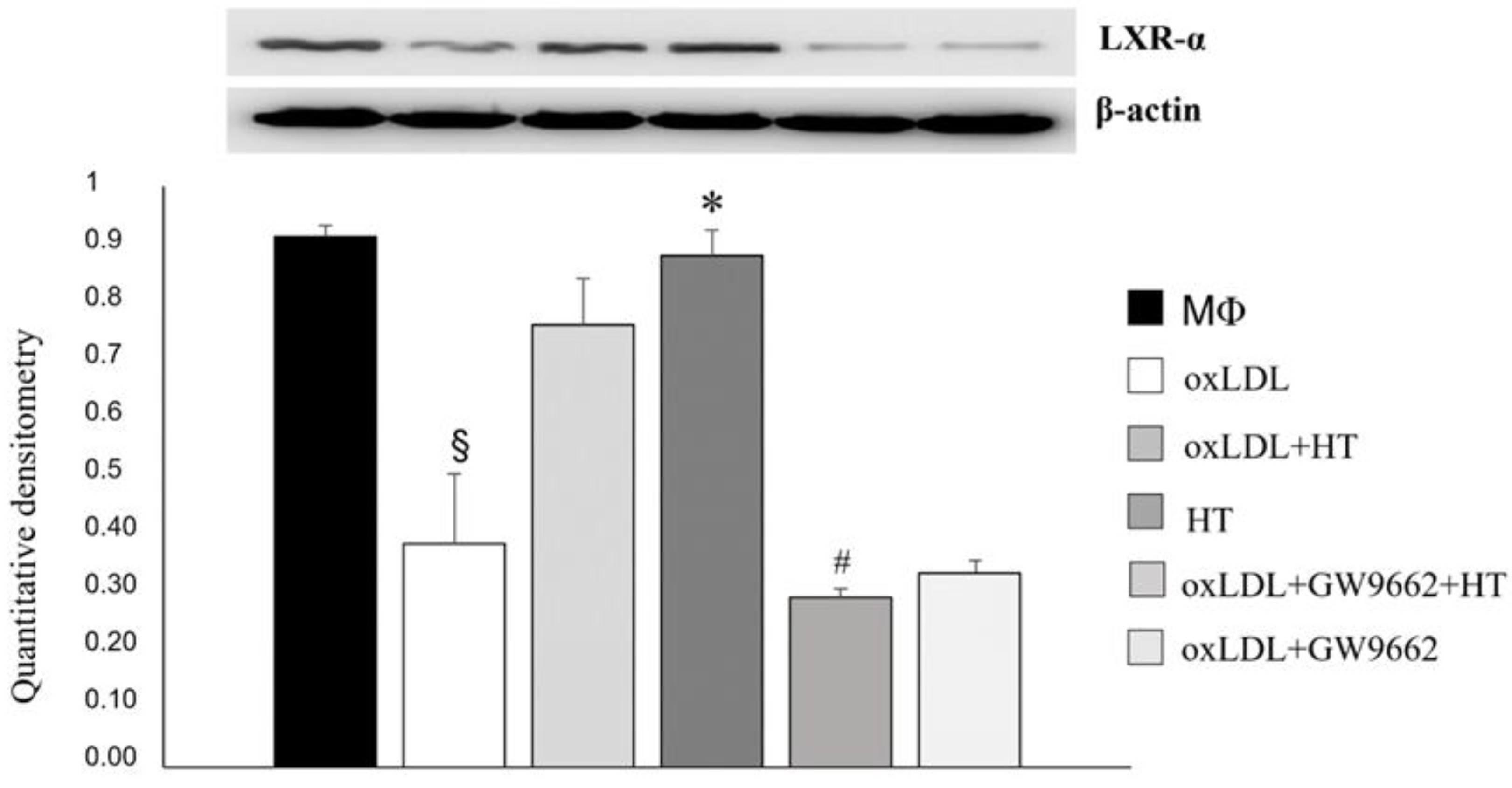 Ijms 24 02057 g007 Ijms 24 02057 g007