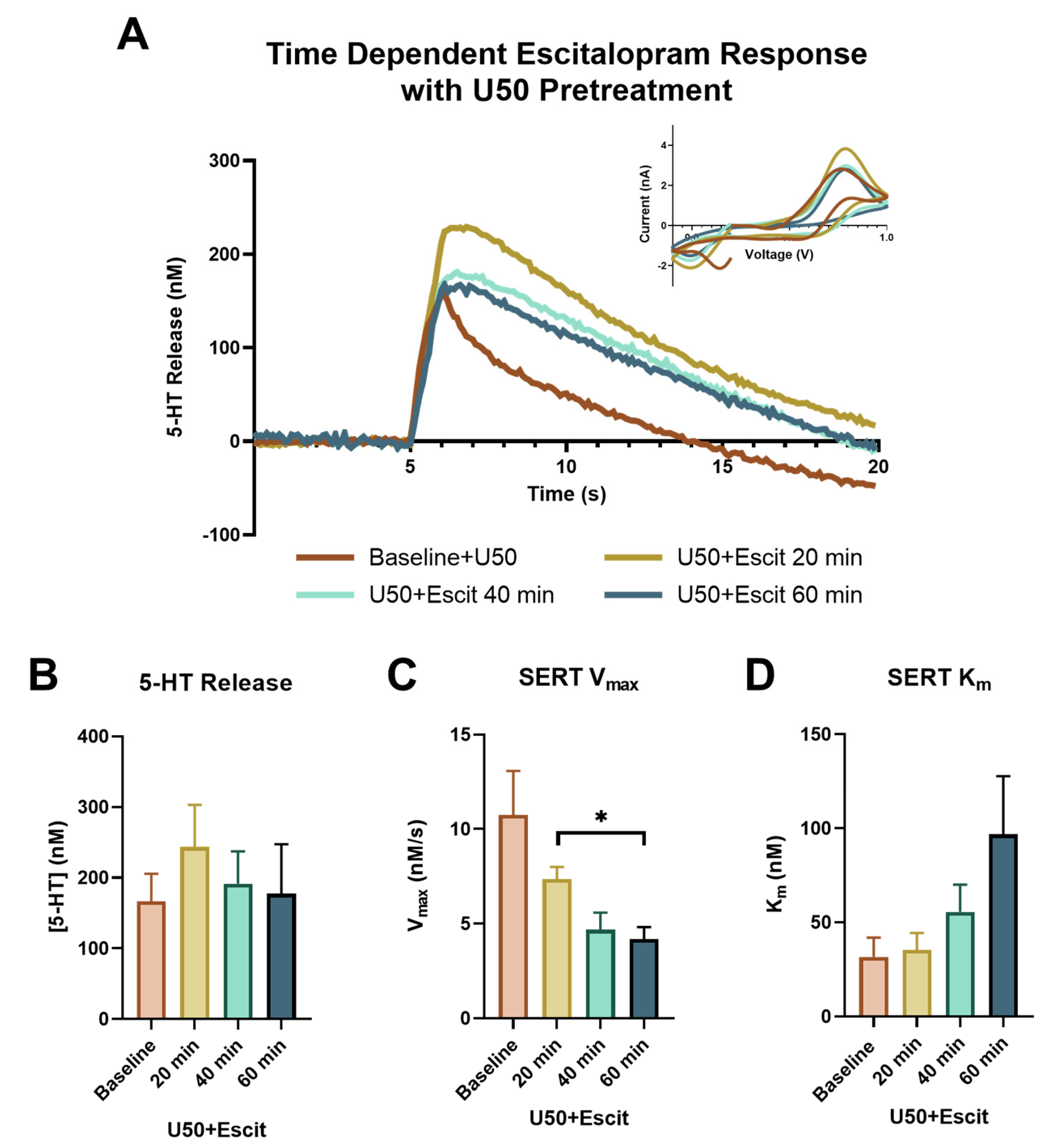 IJMS | Free Full-Text | Kappa Opioid Receptors Reduce Serotonin Uptake and  Escitalopram Efficacy in the Mouse Substantia Nigra Pars Reticulata