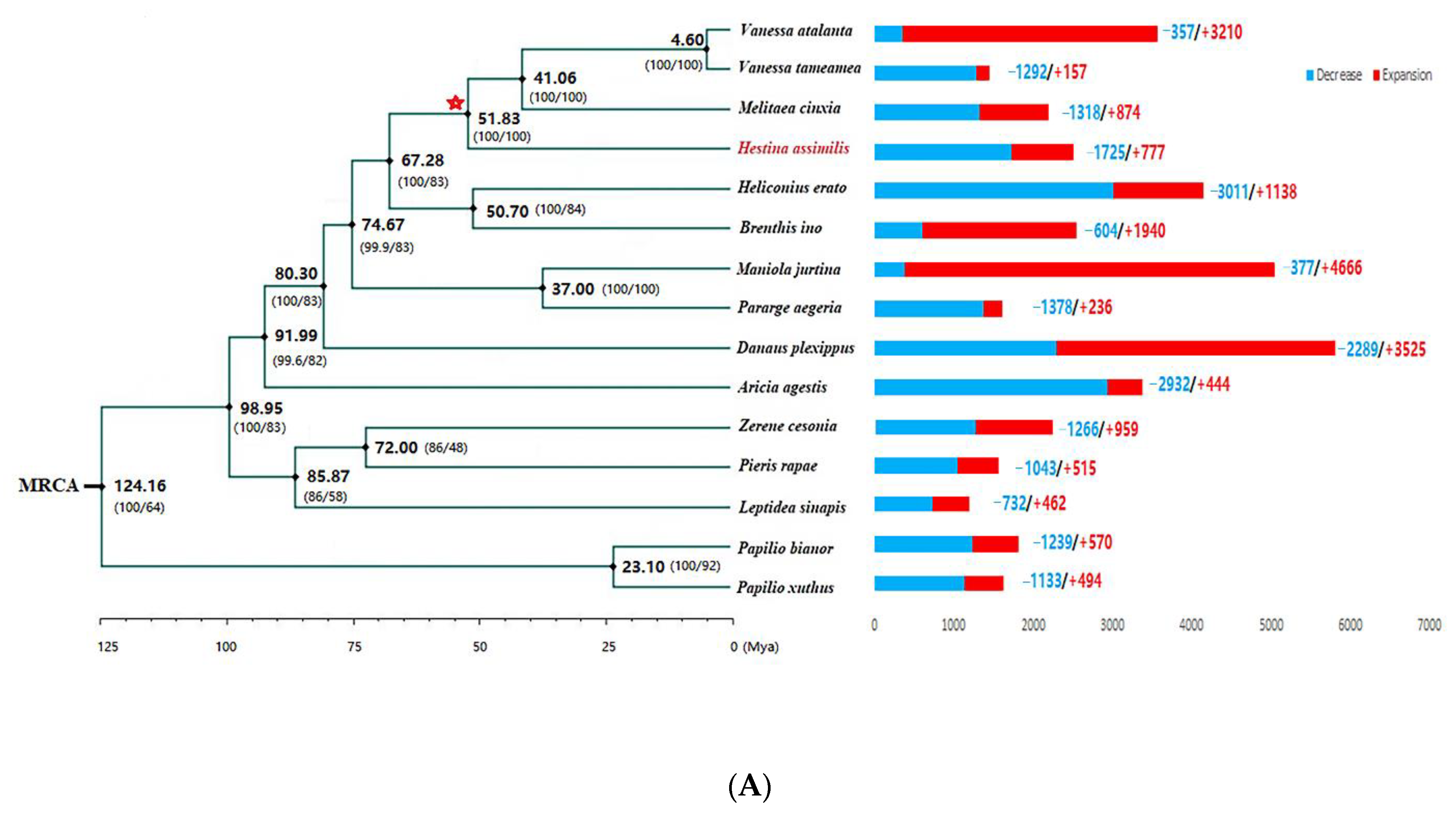 Ijms 24 02087 g002a Ijms 24 02087 g002a