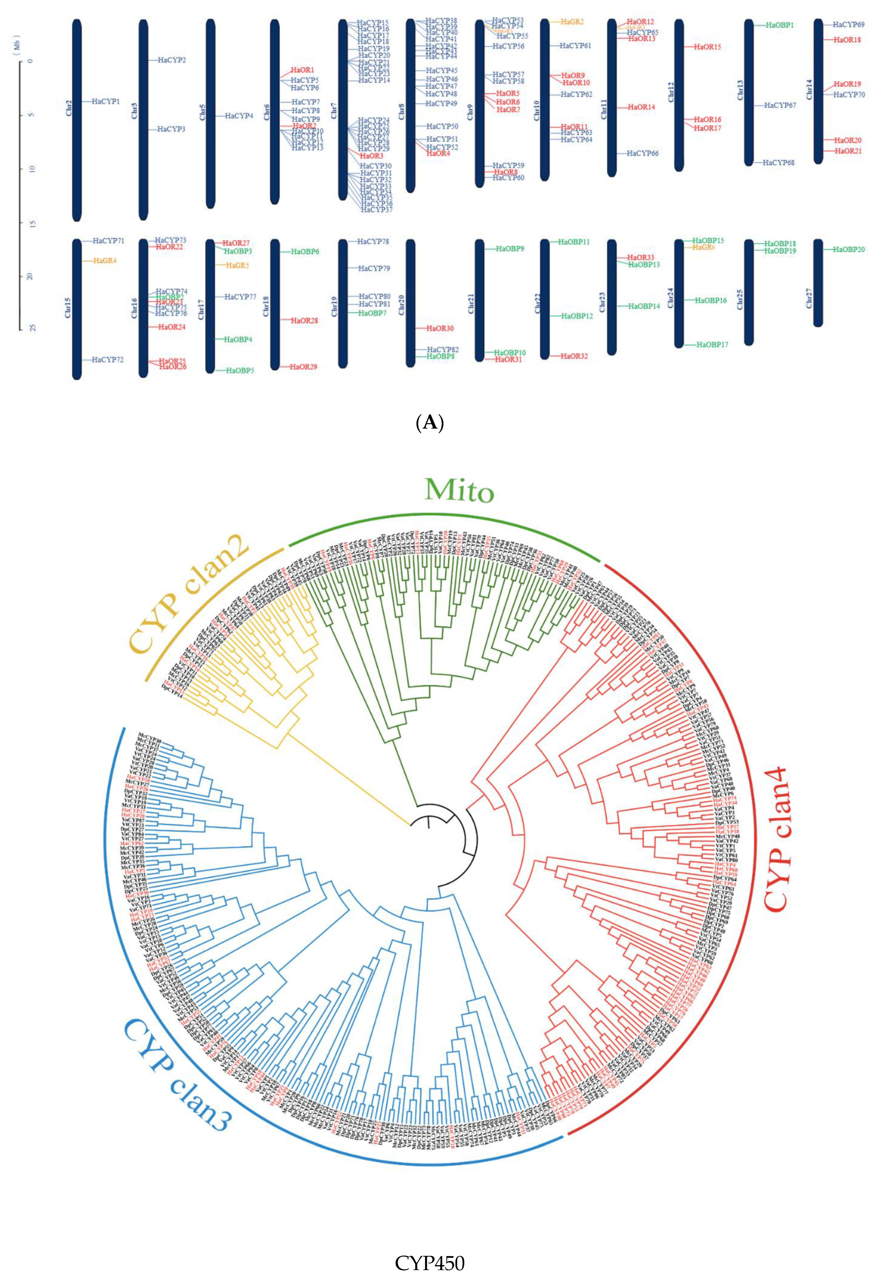 Ijms 24 02087 g003a Ijms 24 02087 g003a
