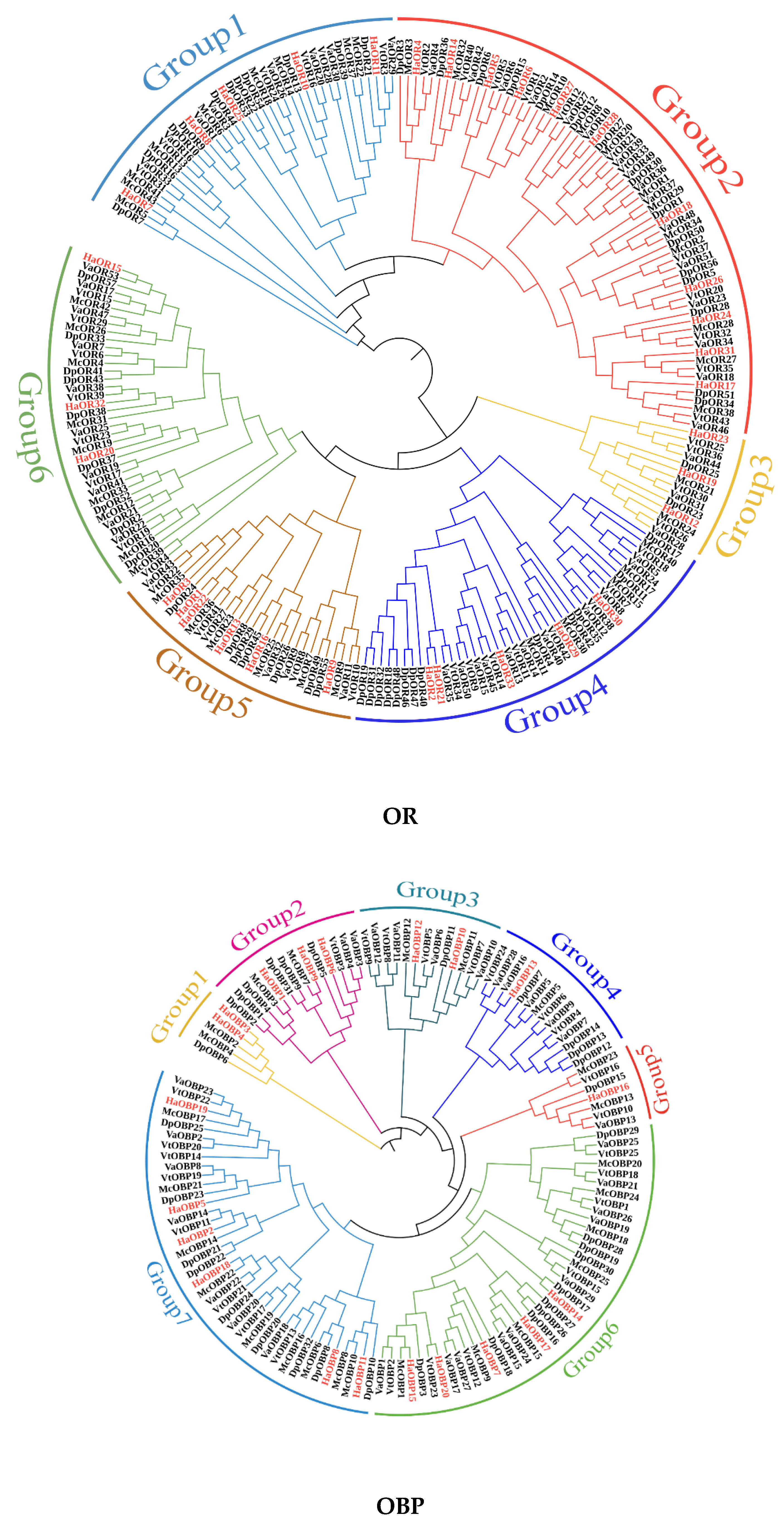 Ijms 24 02087 g003b Ijms 24 02087 g003b