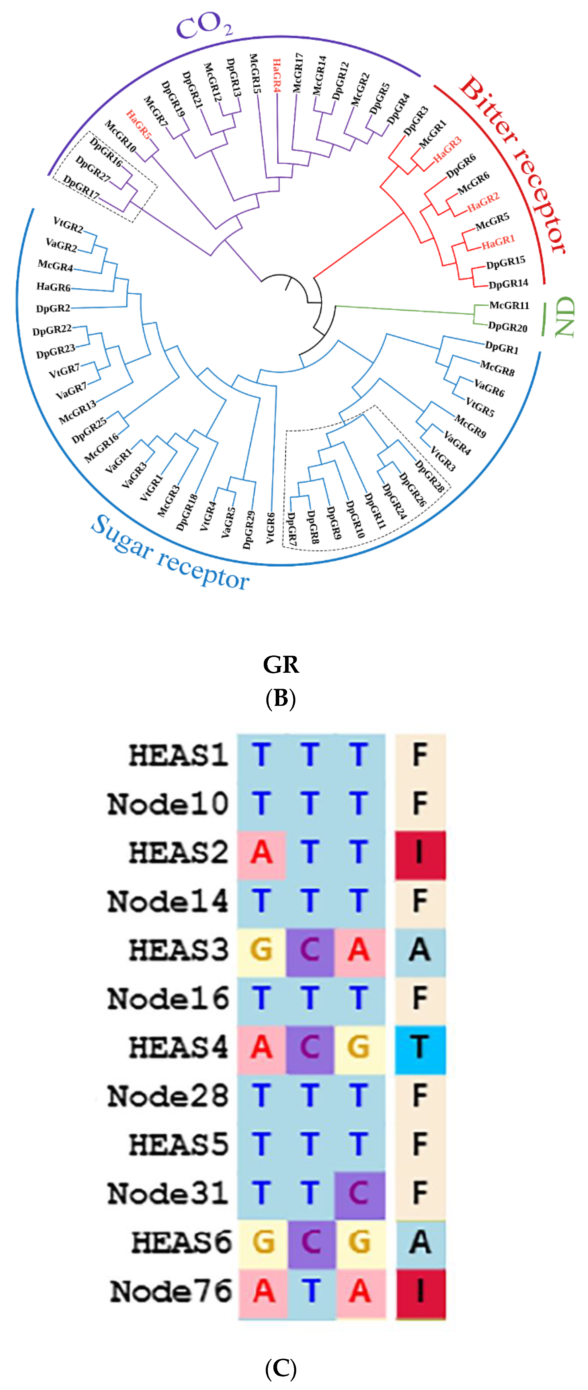 Ijms 24 02087 g003c Ijms 24 02087 g003c