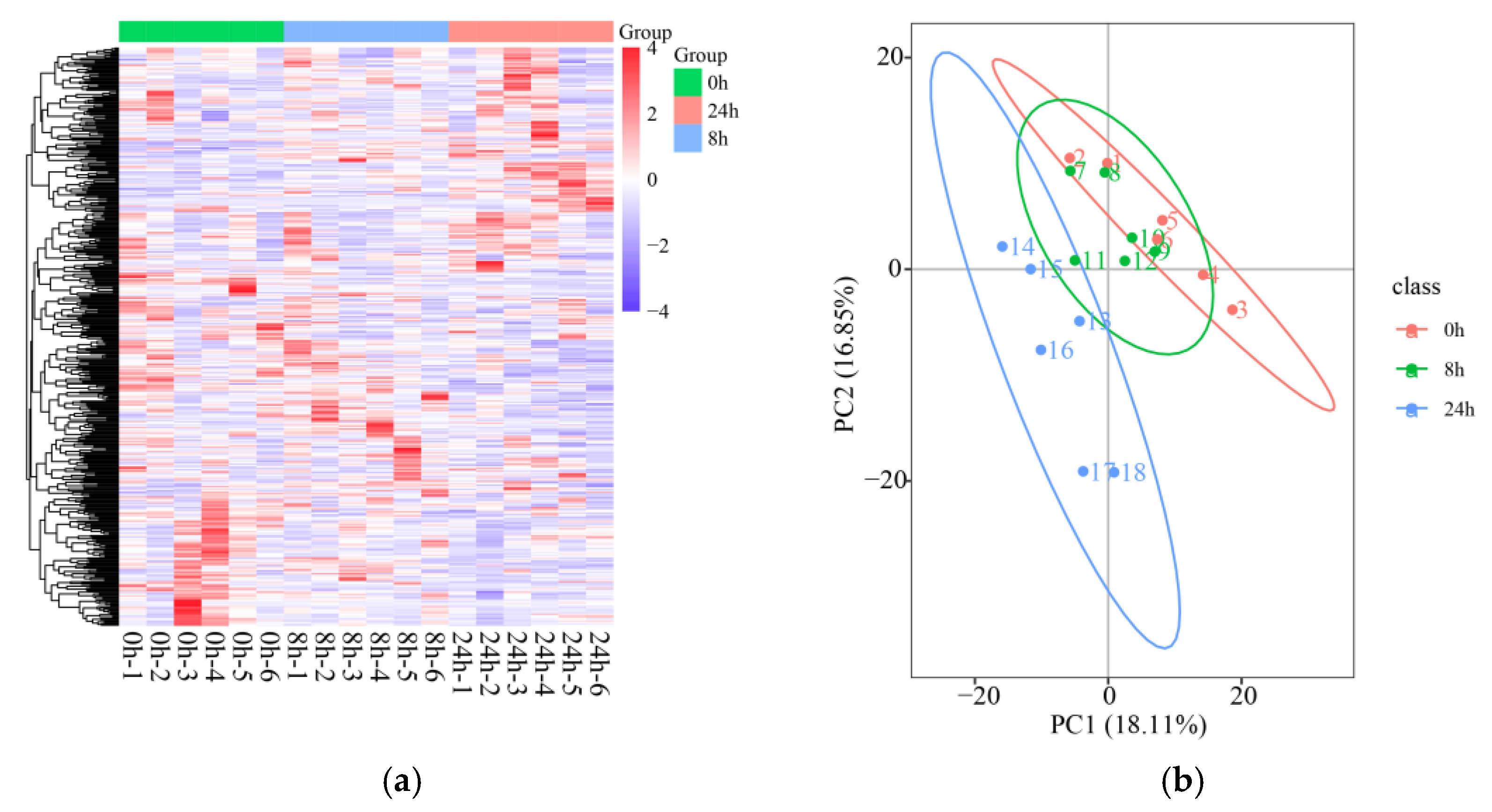 Ijms 24 02089 g004 Ijms 24 02089 g004