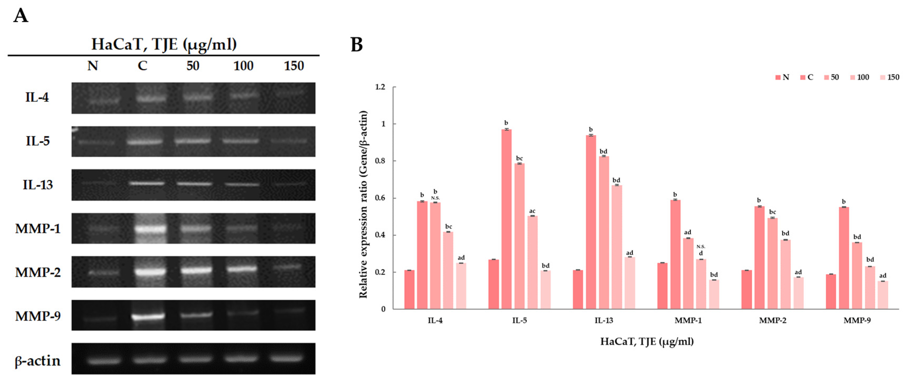 Ijms 24 02102 g005 Ijms 24 02102 g005