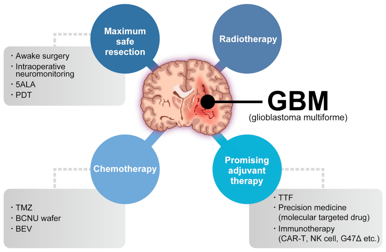 IJMS Free FullText Natural Killer CellBased Immunotherapy against