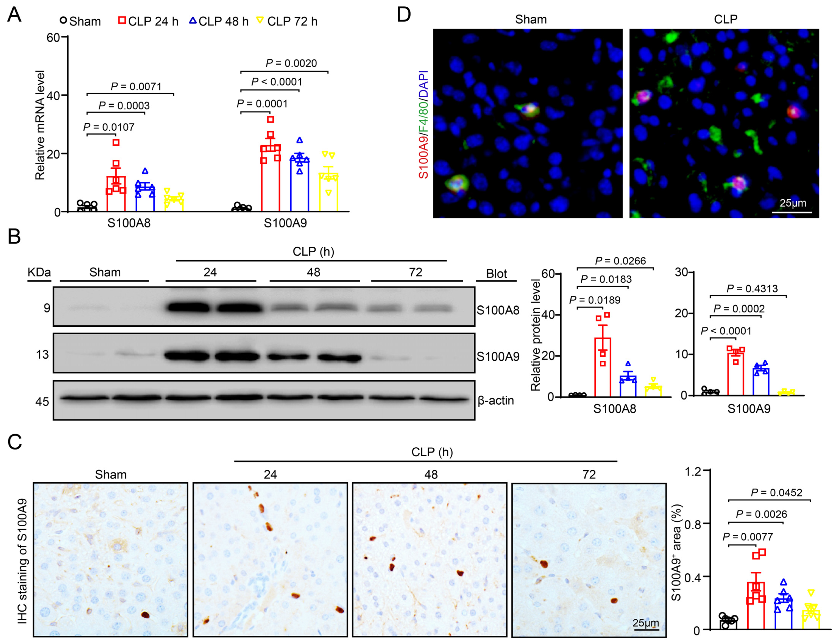 Ijms 24 02112 g001 Ijms 24 02112 g001