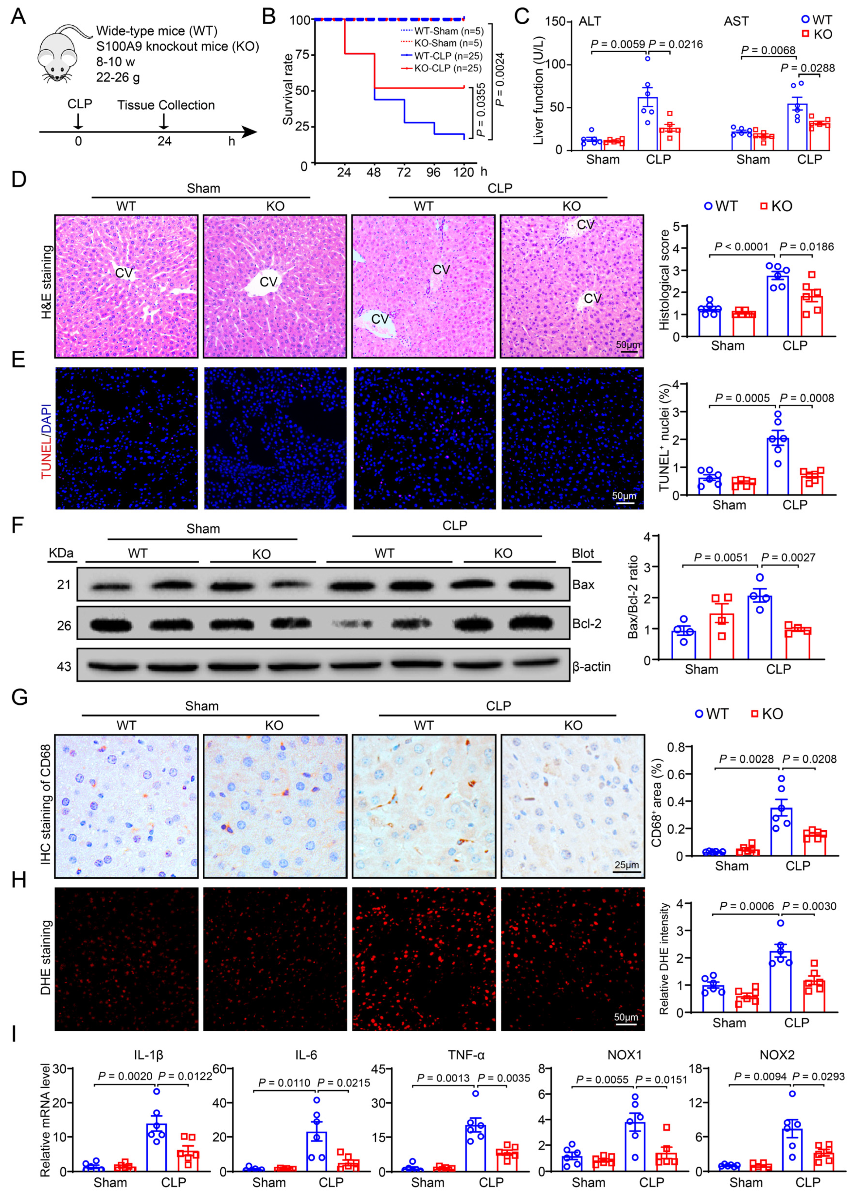 Ijms 24 02112 g002 Ijms 24 02112 g002