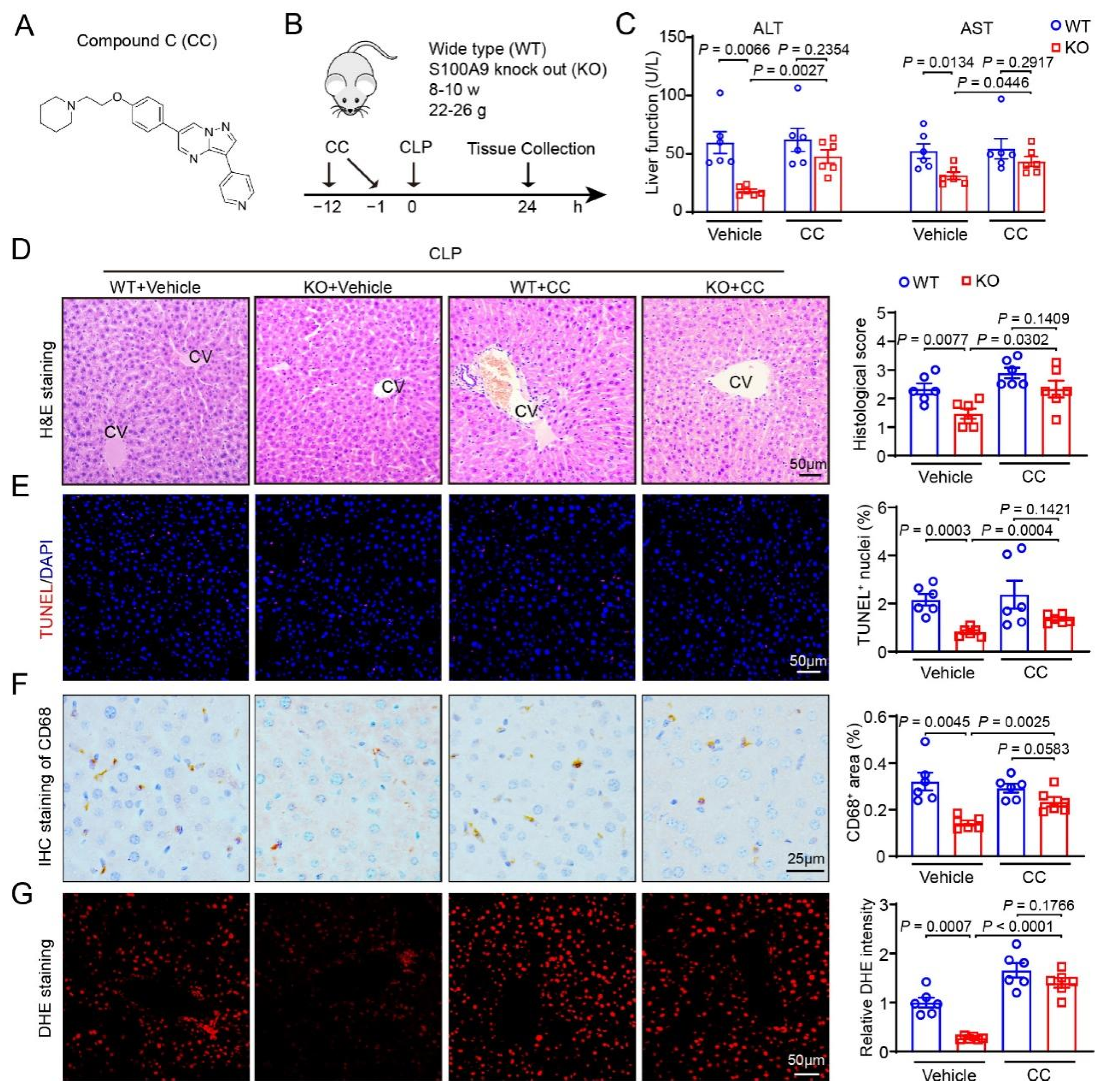 Ijms 24 02112 g004 Ijms 24 02112 g004