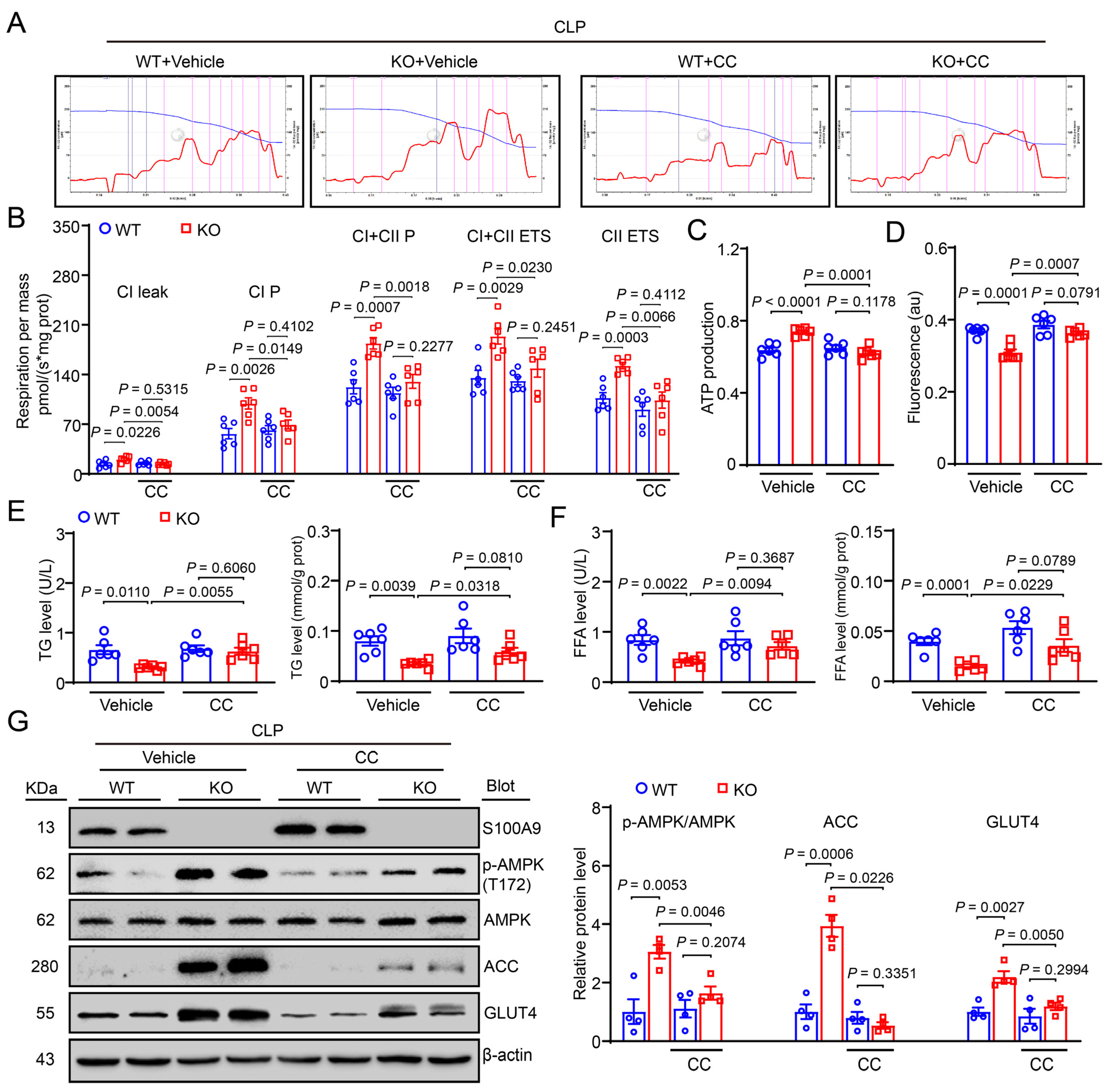 Ijms 24 02112 g005 Ijms 24 02112 g005
