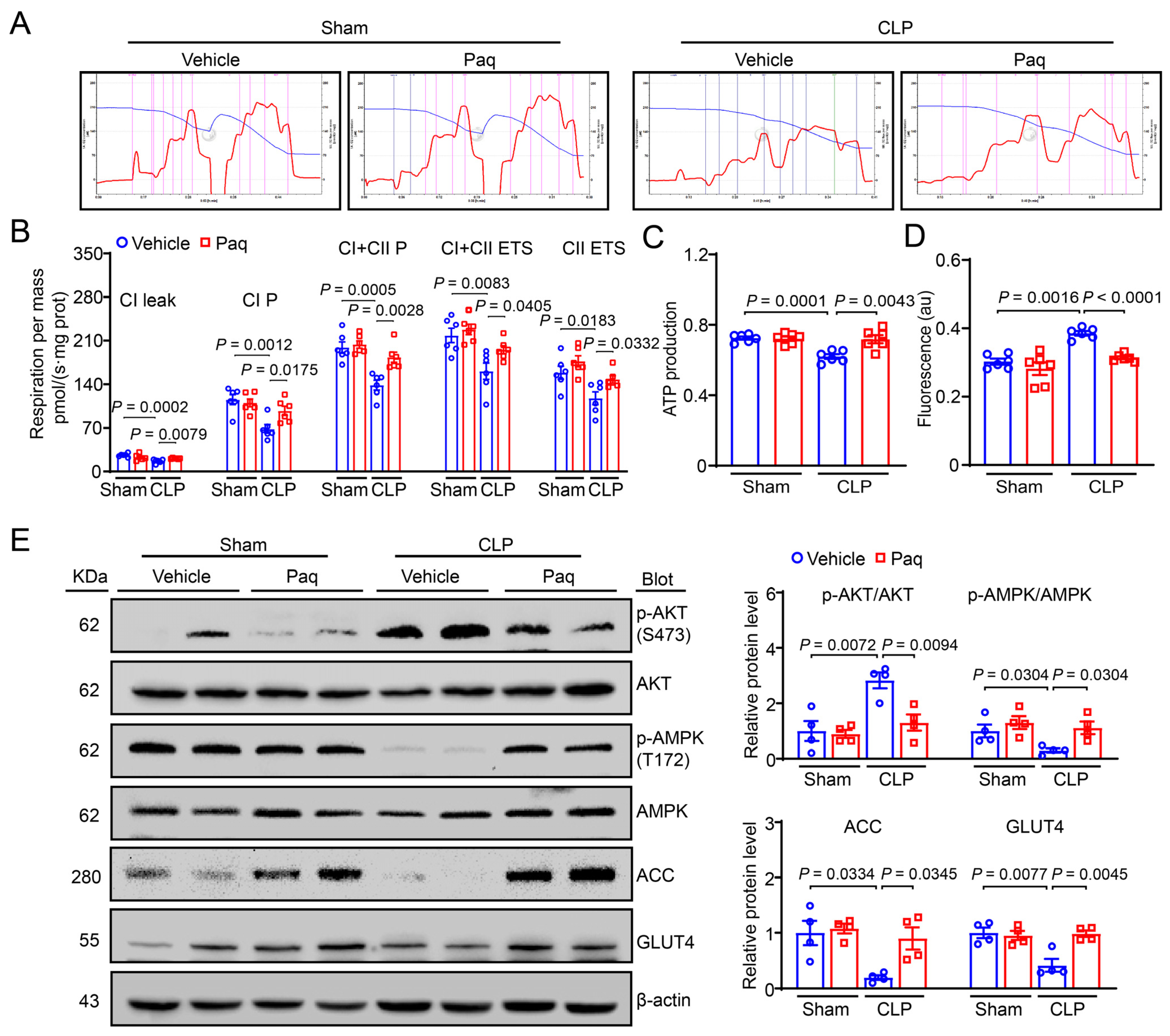 Ijms 24 02112 g007 Ijms 24 02112 g007