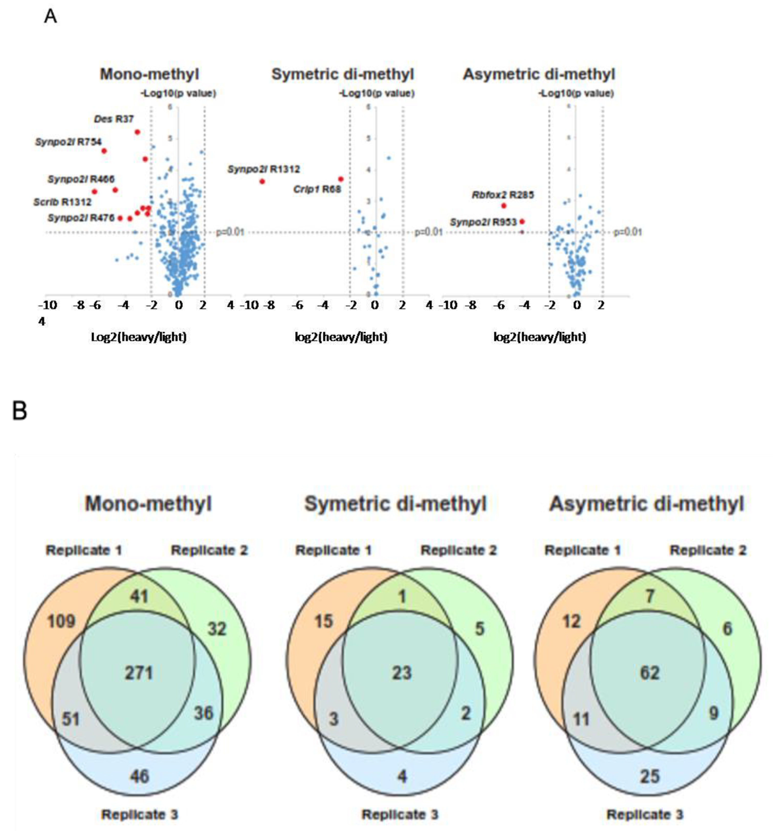 Ijms 24 02124 g003 Ijms 24 02124 g003