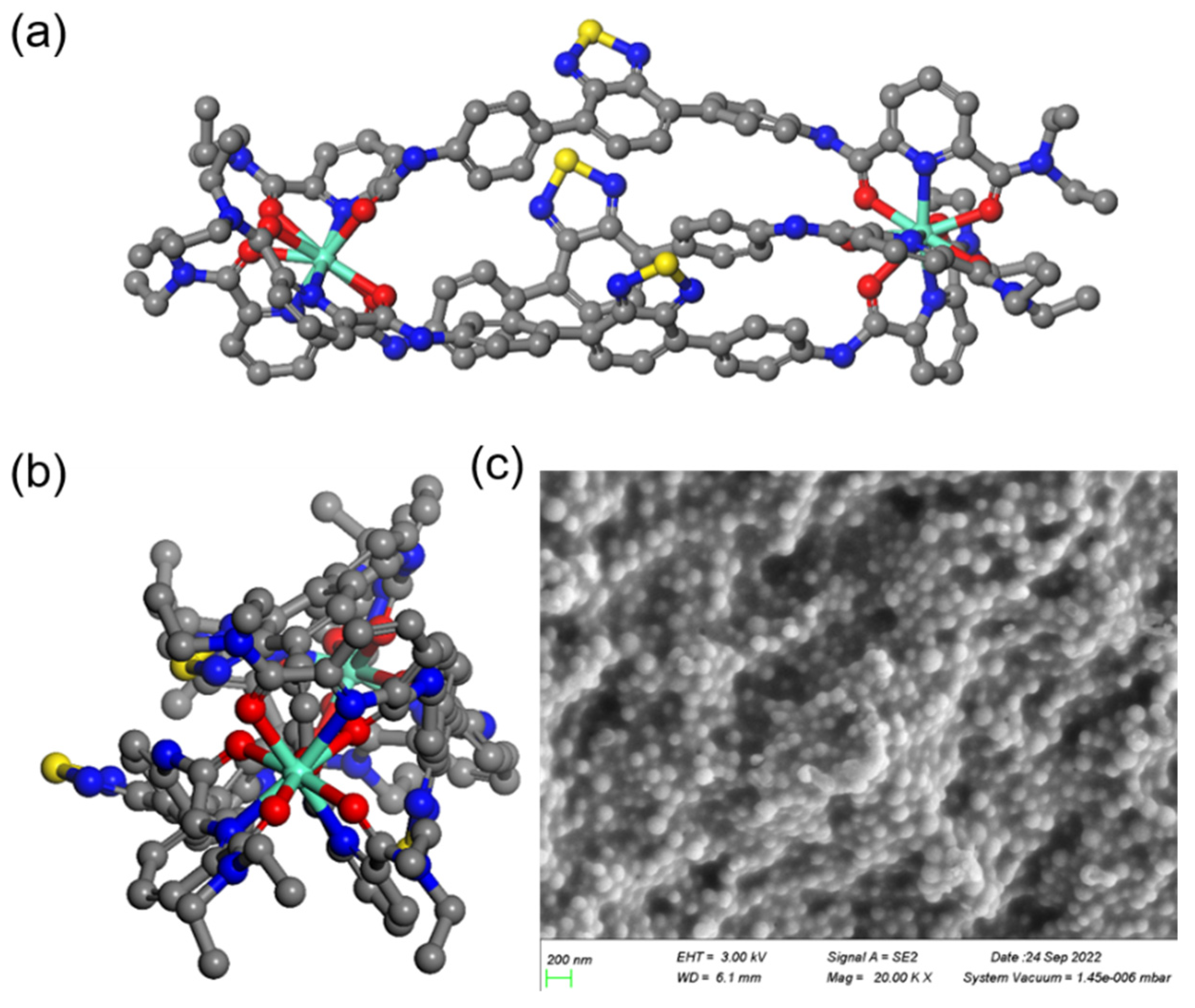 Ijms 24 02147 g003 Ijms 24 02147 g003