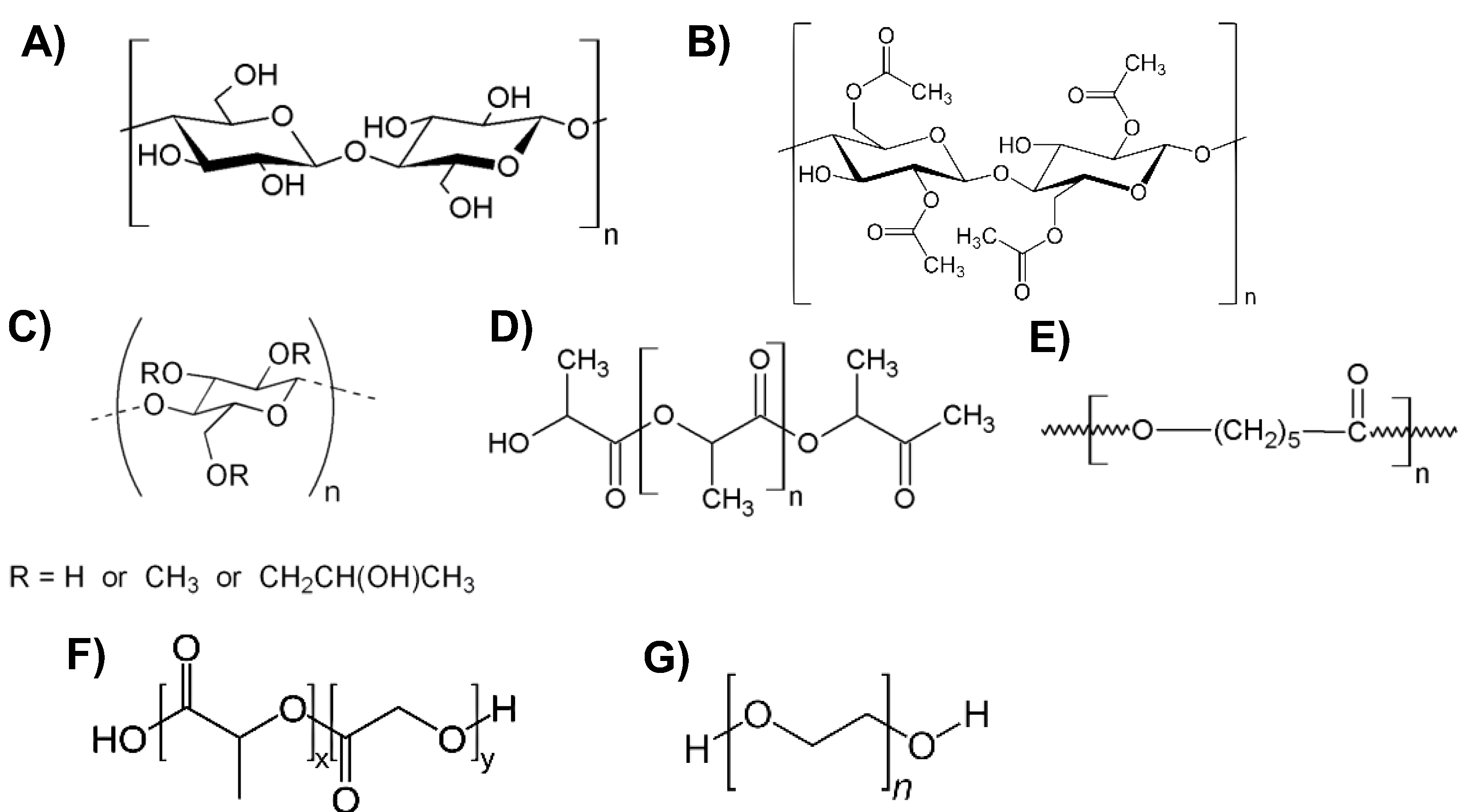 Ijms 24 02153 g001 Ijms 24 02153 g001