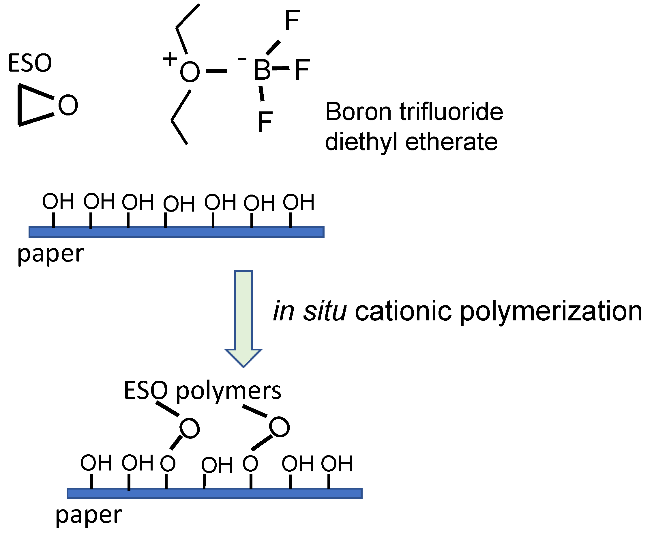 Ijms 24 02153 g006 Ijms 24 02153 g006