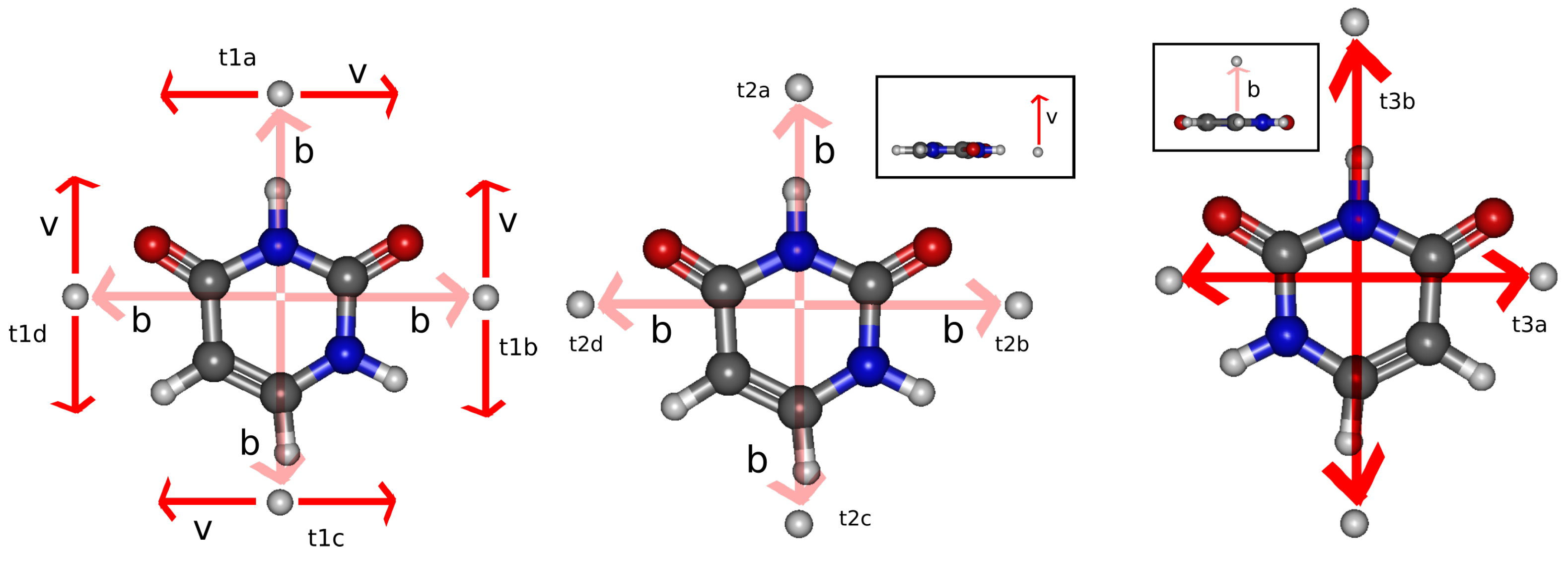 Ijms 24 02172 g002 Ijms 24 02172 g002