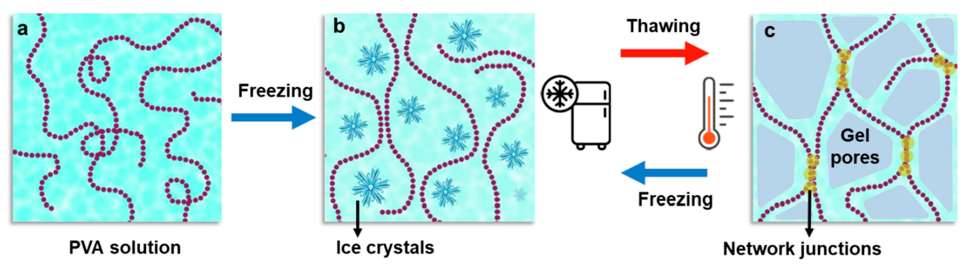 Ijms 24 02191 g004 Ijms 24 02191 g004