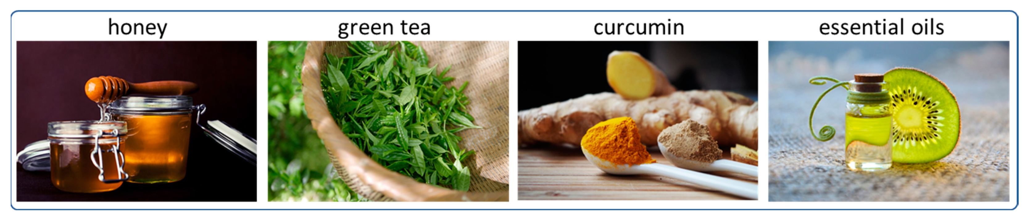 Ijms 24 02191 g005 Ijms 24 02191 g005