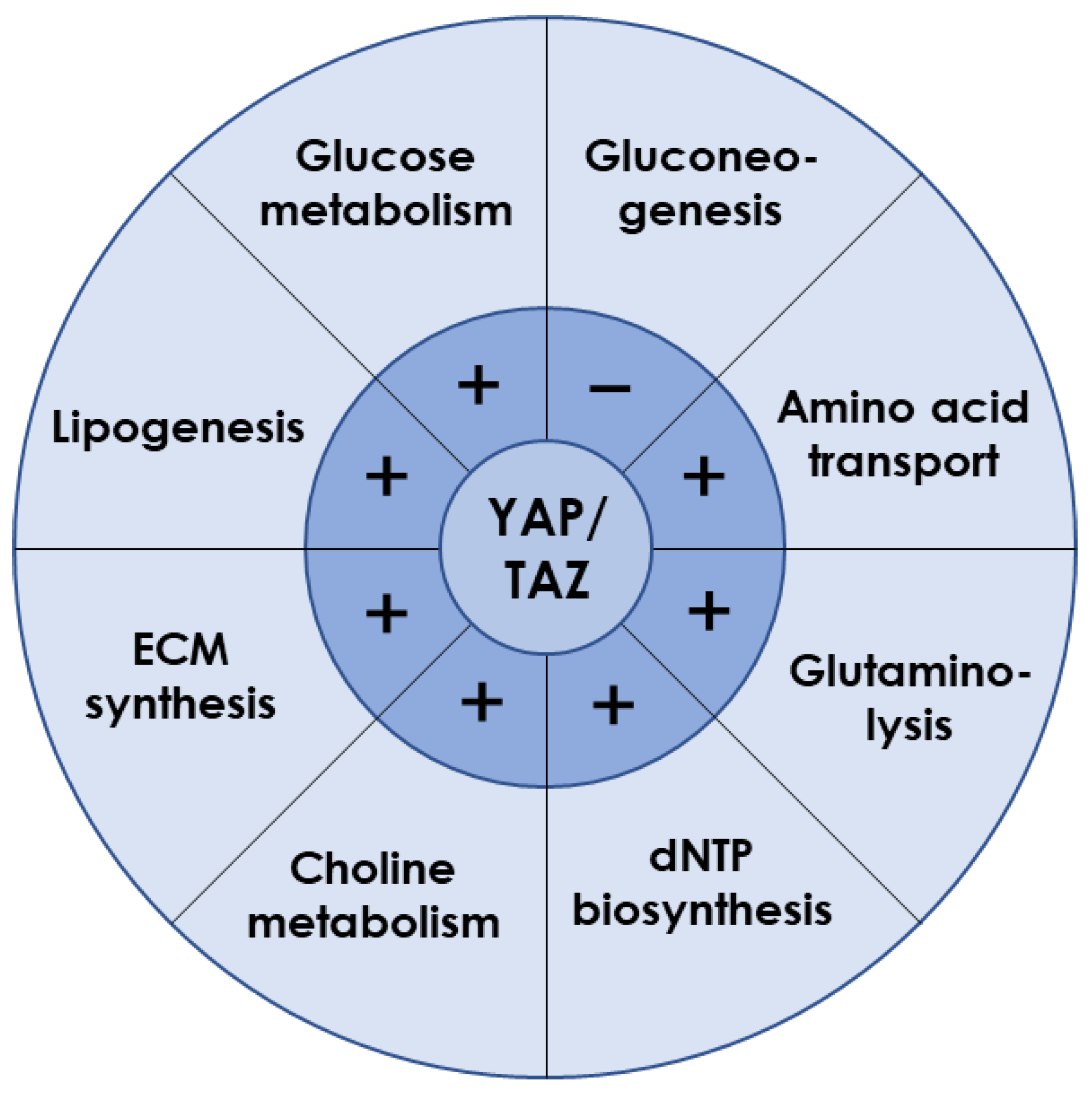 Ijms 24 02197 g002 Ijms 24 02197 g002