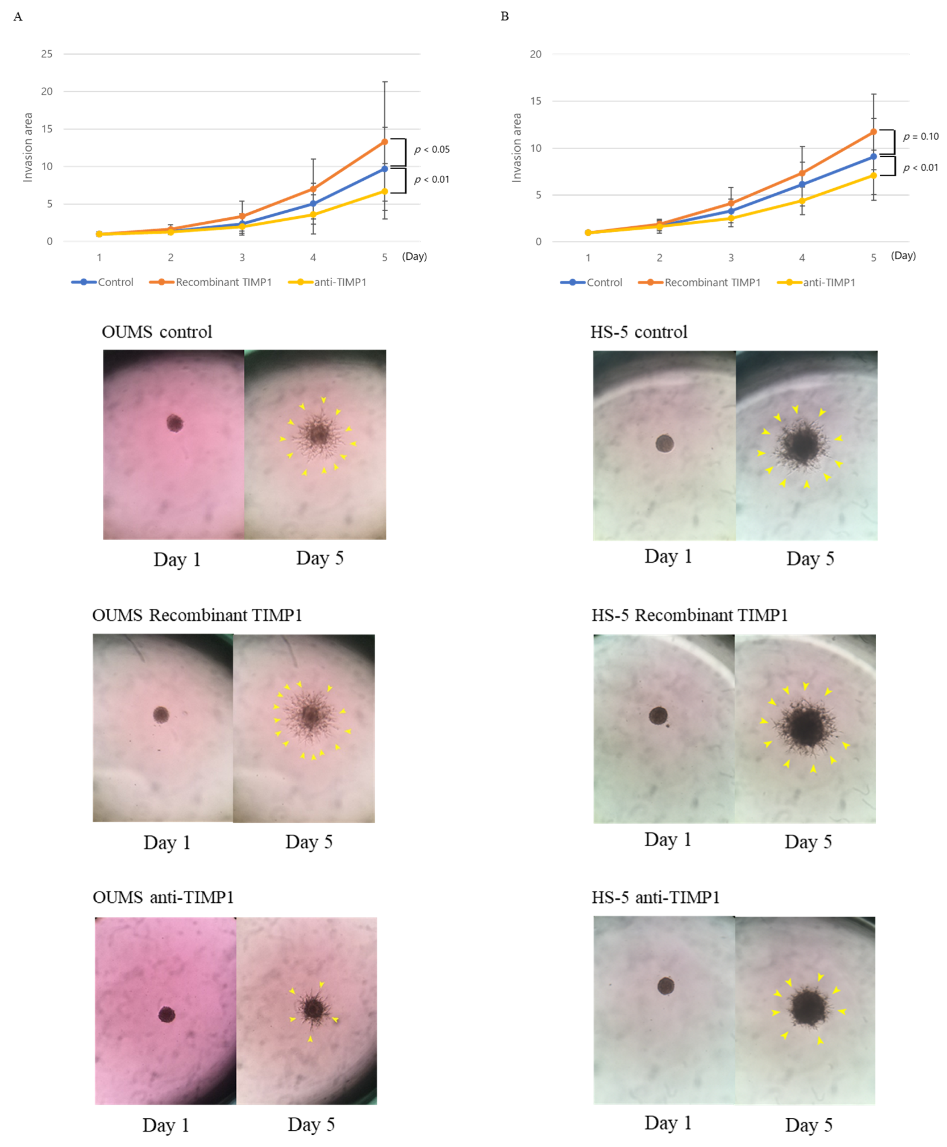 Ijms 24 02216 g005 Ijms 24 02216 g005