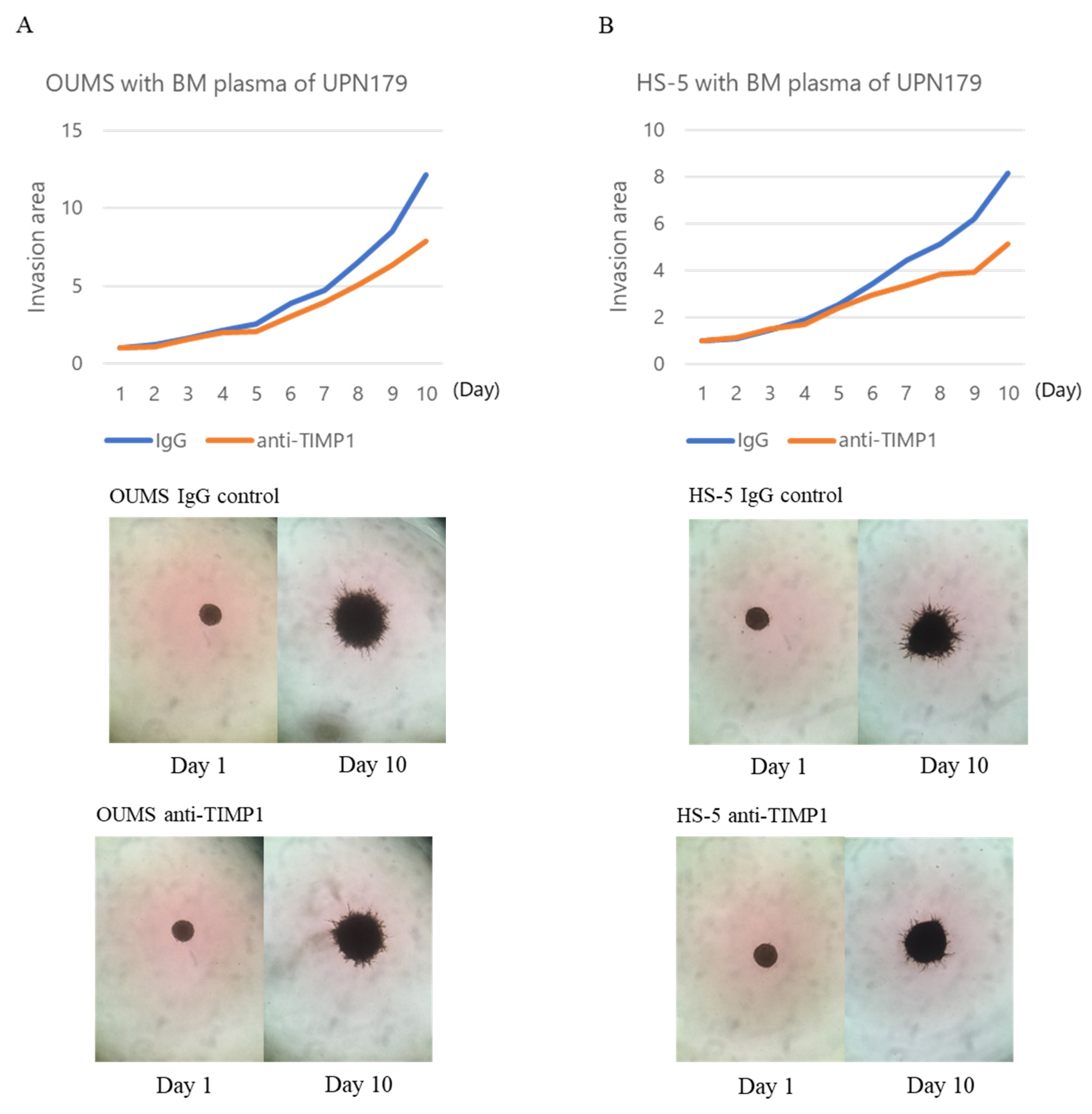 Ijms 24 02216 g006 Ijms 24 02216 g006