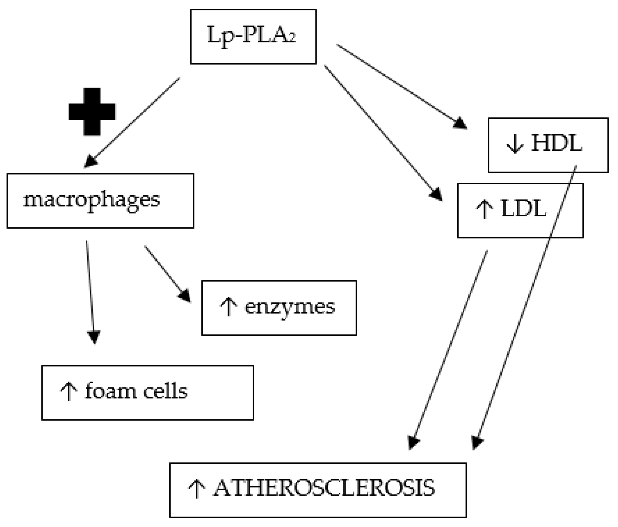 Ijms 24 02237 g003 Ijms 24 02237 g003