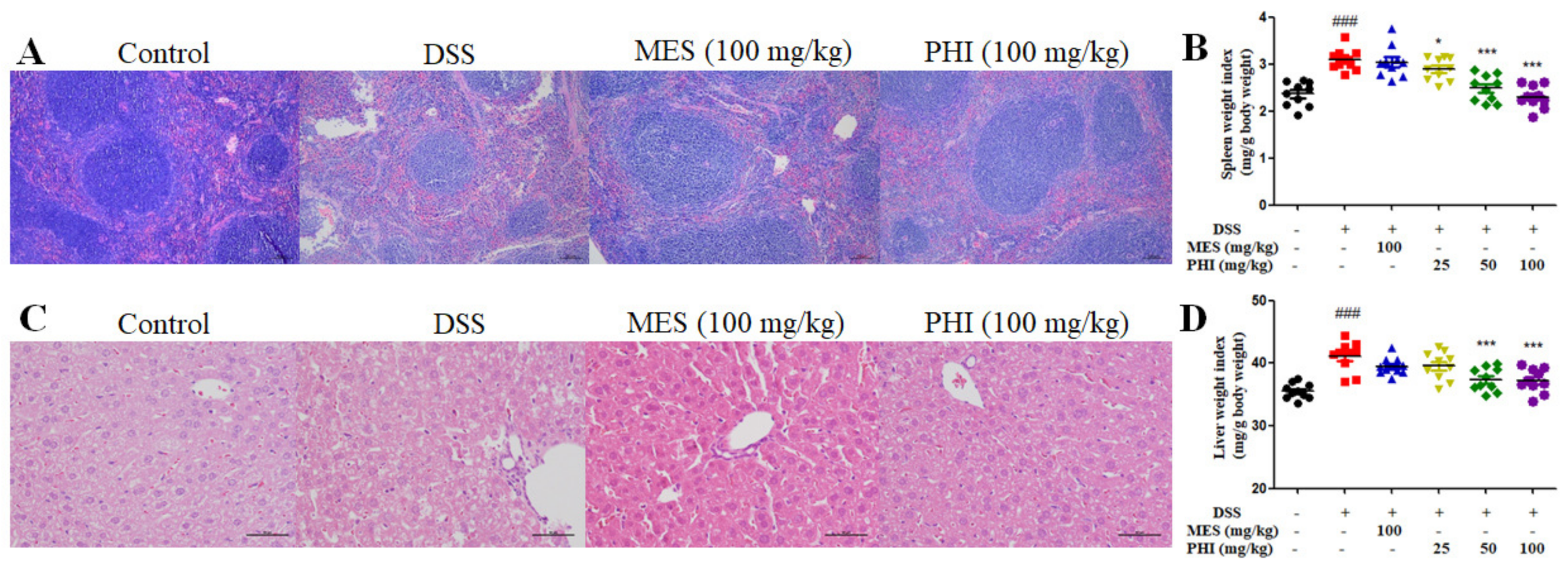 Ijms 24 02238 g003 Ijms 24 02238 g003