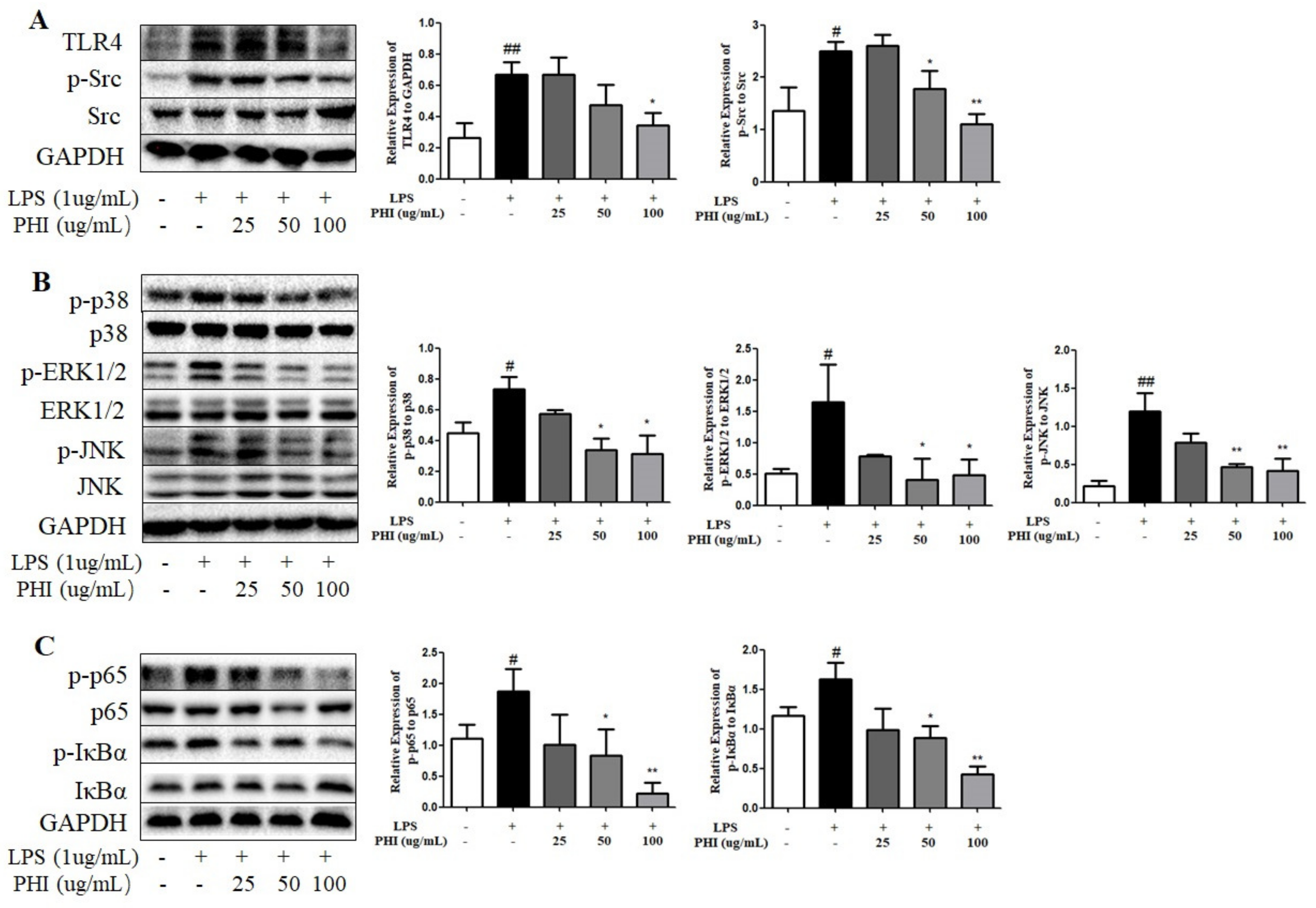 Ijms 24 02238 g008 Ijms 24 02238 g008