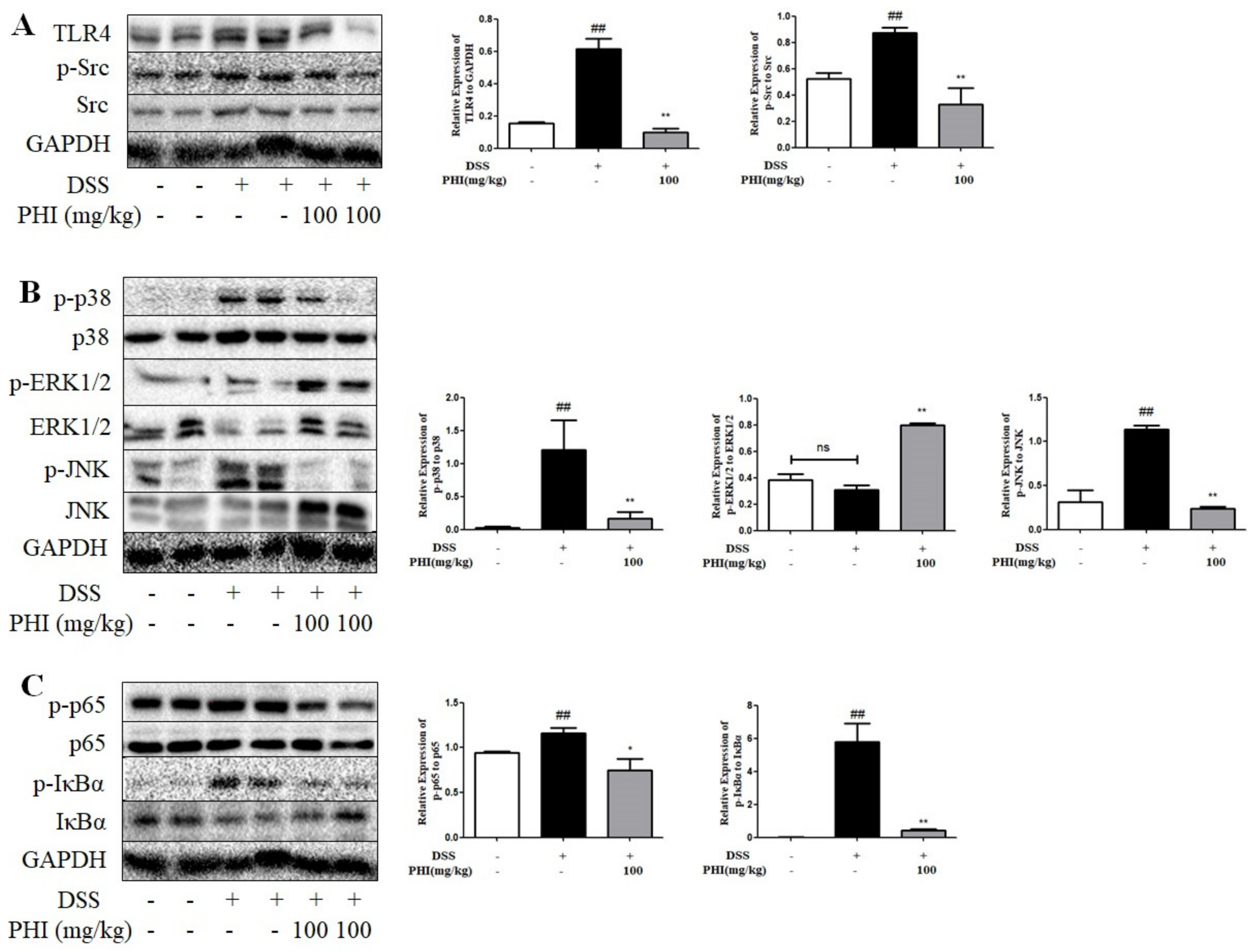 Ijms 24 02238 g009 Ijms 24 02238 g009
