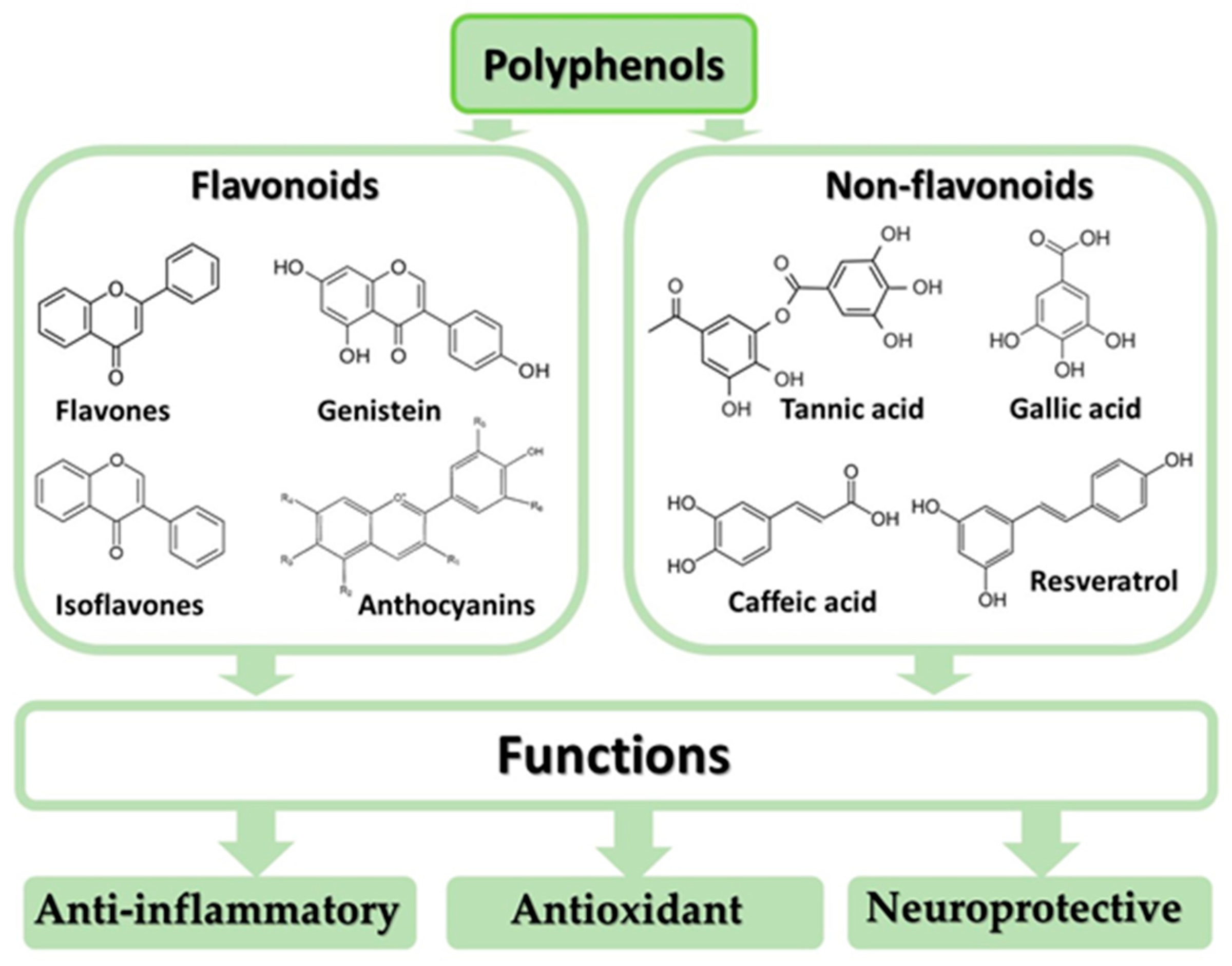Polyphenols and anti-inflammatory effects