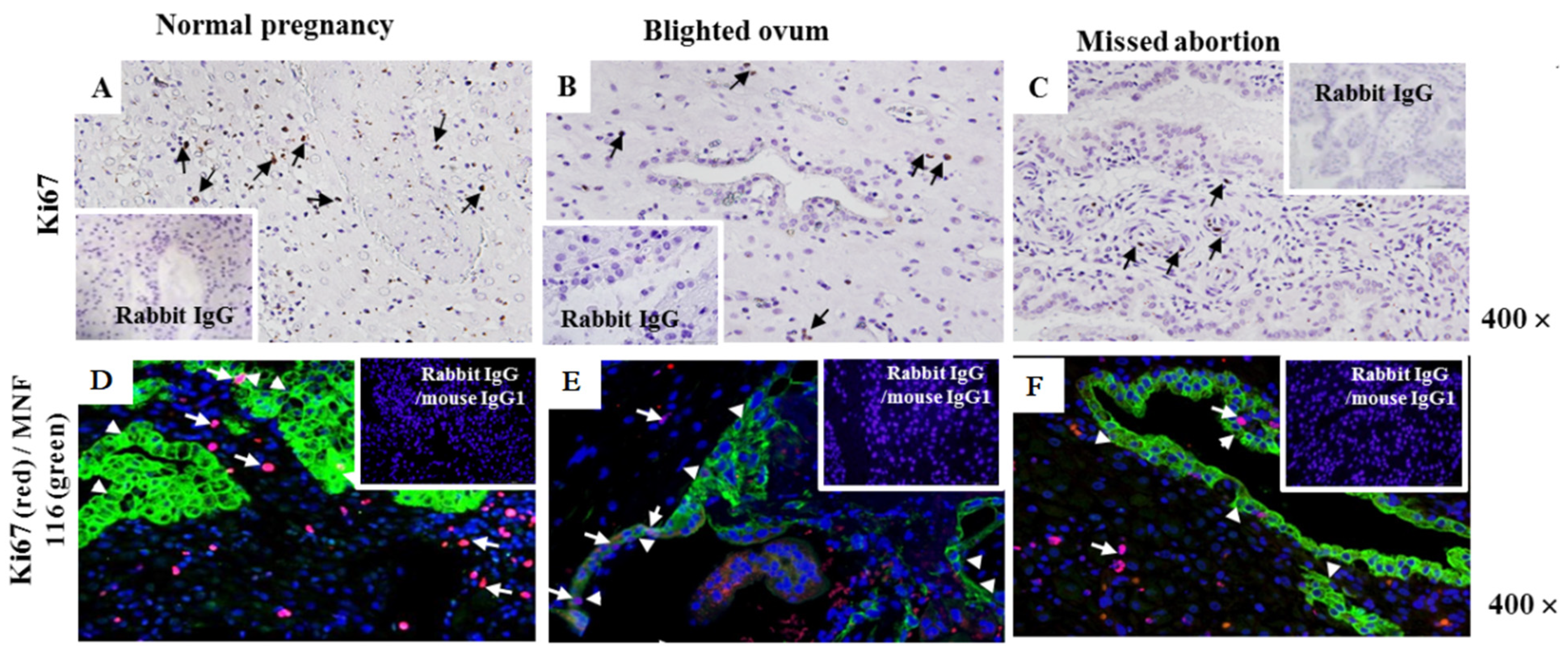 Ijms 24 02278 g002 Ijms 24 02278 g002