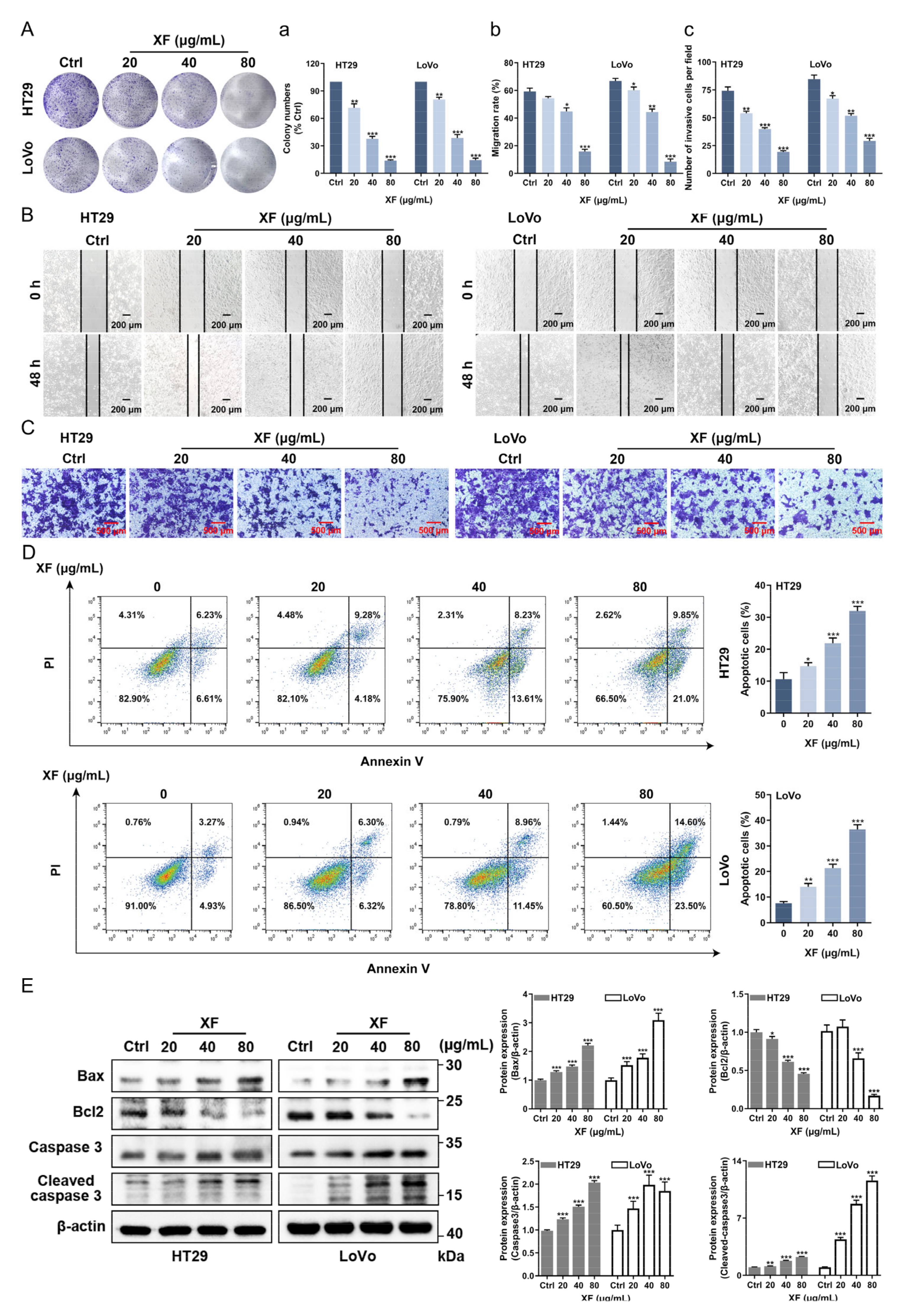 Ijms 24 02279 g003 Ijms 24 02279 g003
