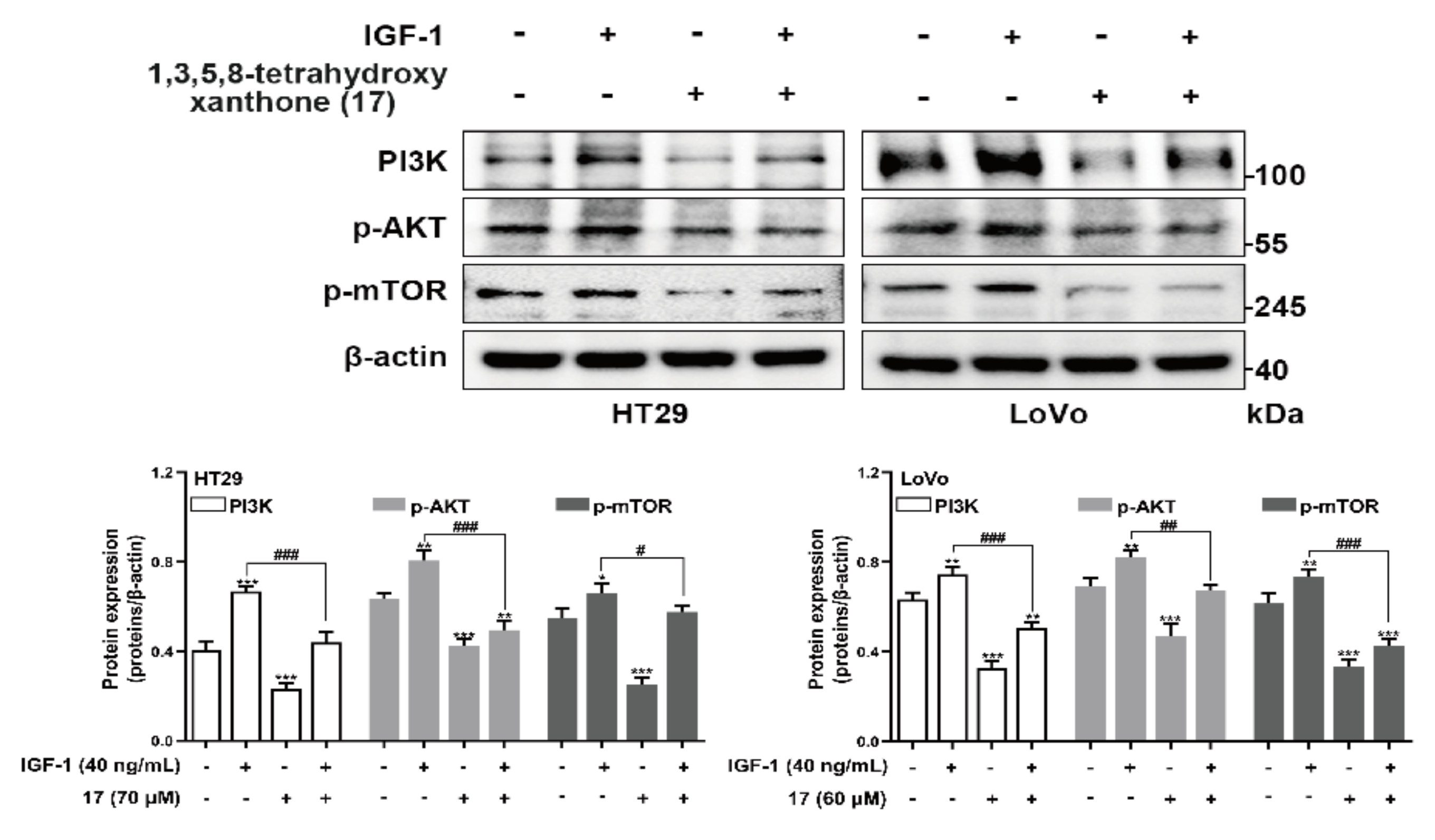 Ijms 24 02279 g008 Ijms 24 02279 g008