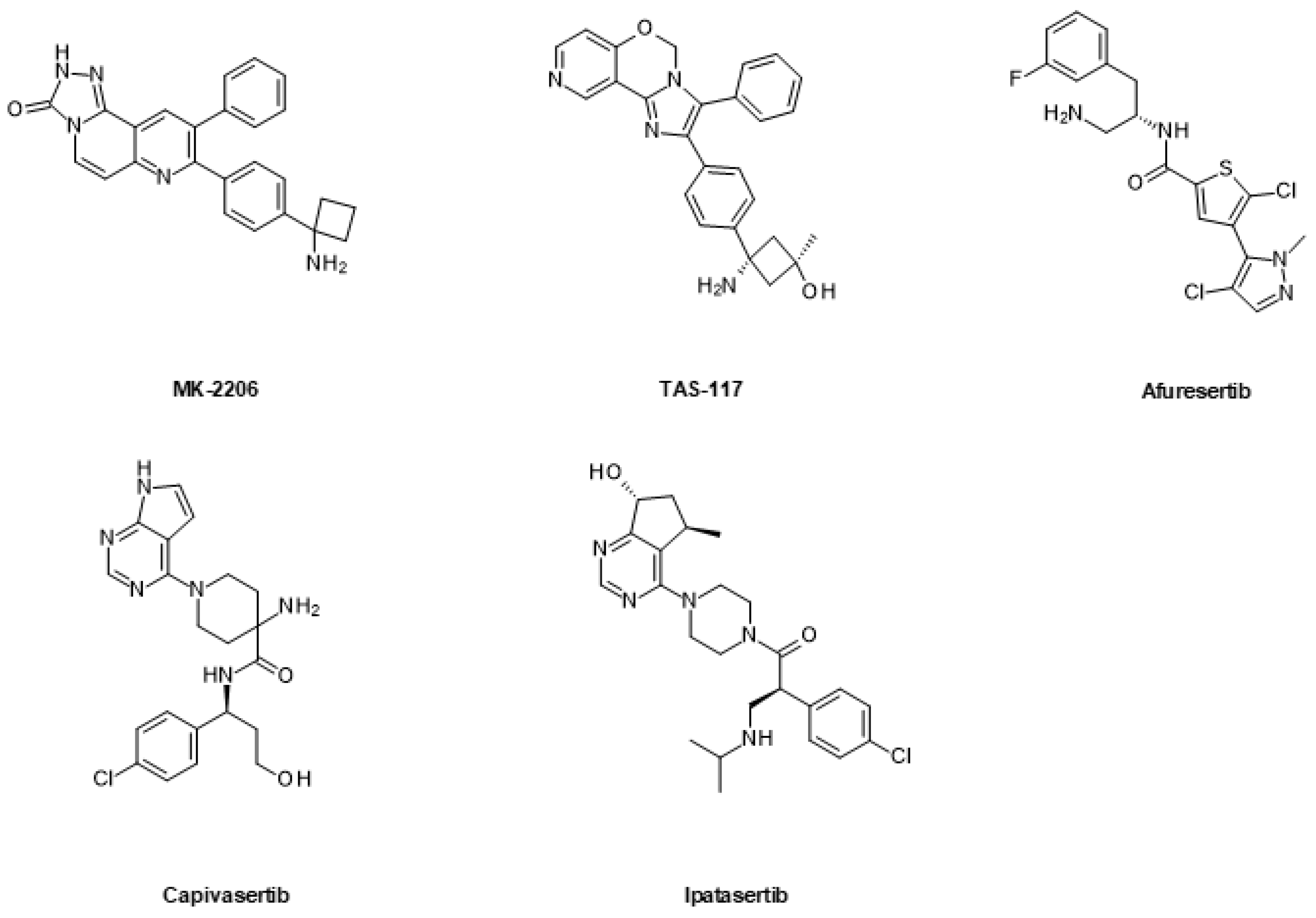 Ijms 24 02289 g007 Ijms 24 02289 g007