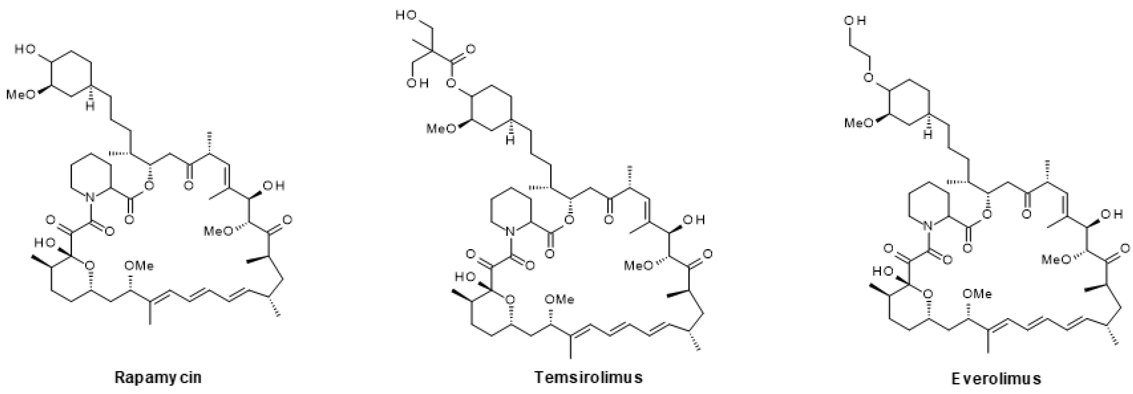 Ijms 24 02289 g008 Ijms 24 02289 g008