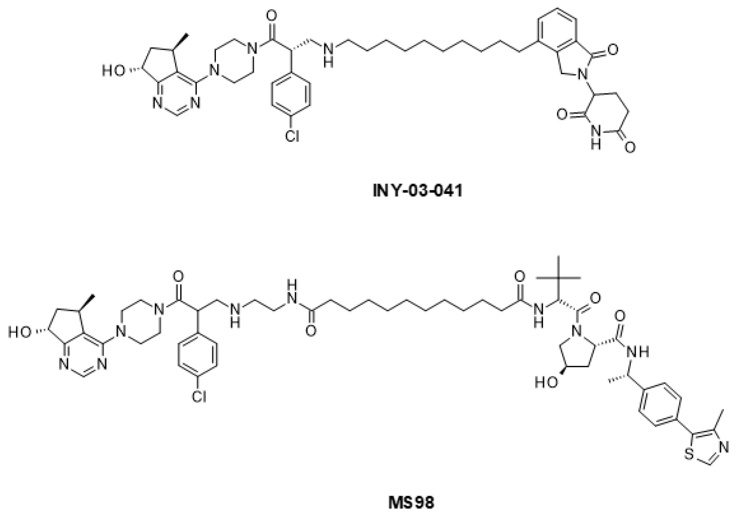 Ijms 24 02289 g011 Ijms 24 02289 g011