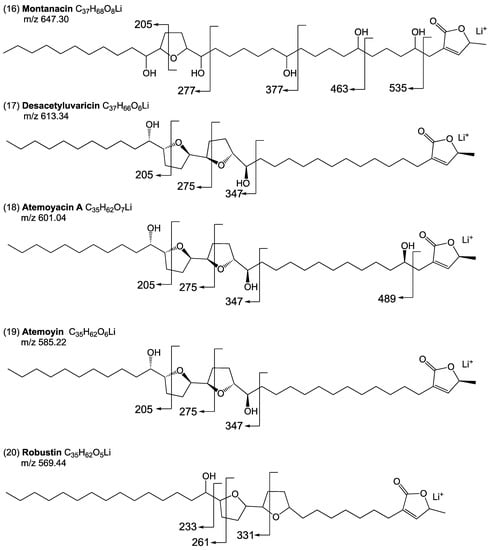 IJMS | Free Full-Text | Identification of Annonaceous Acetogenins and ...