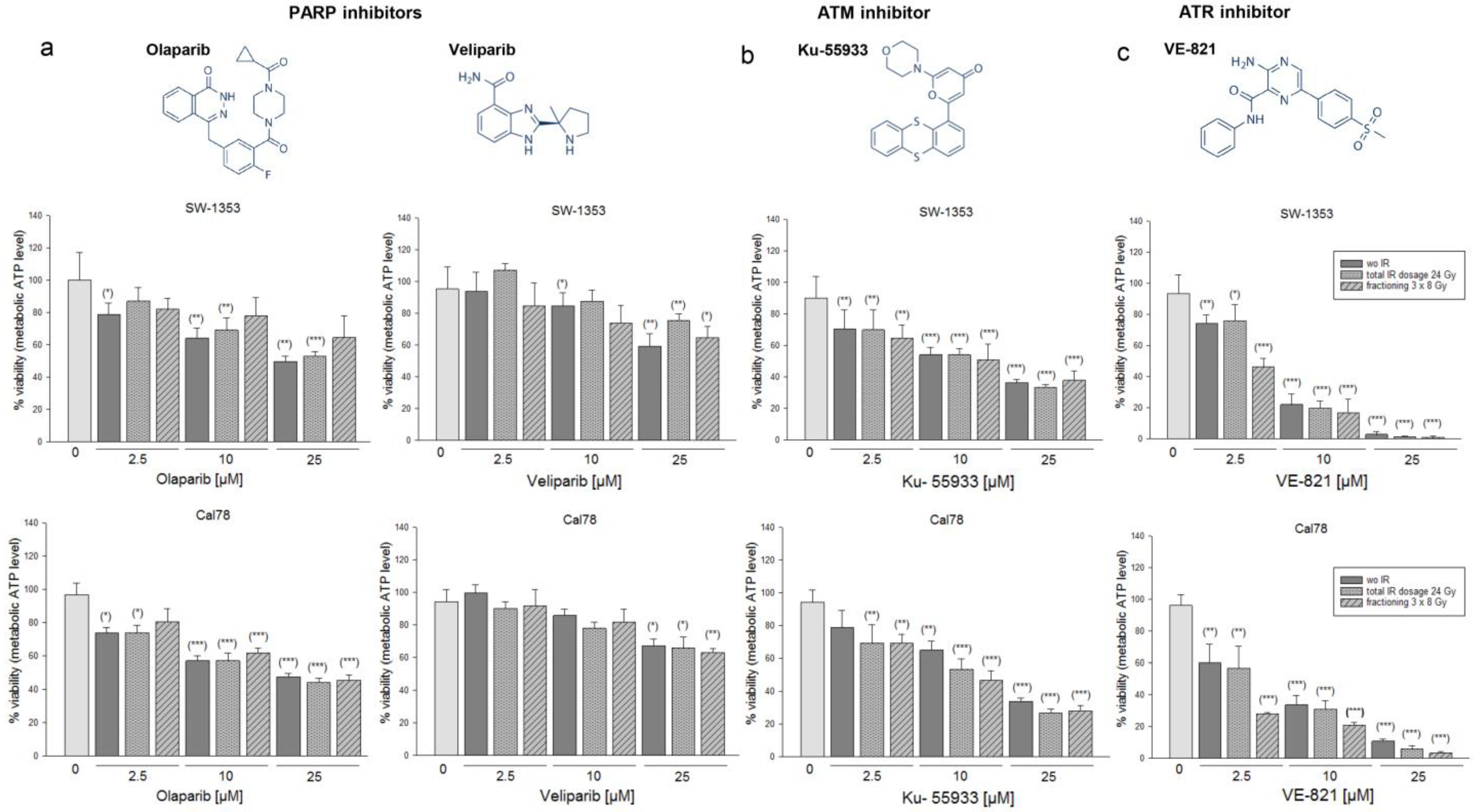 Ijms 24 02315 g001 Ijms 24 02315 g001