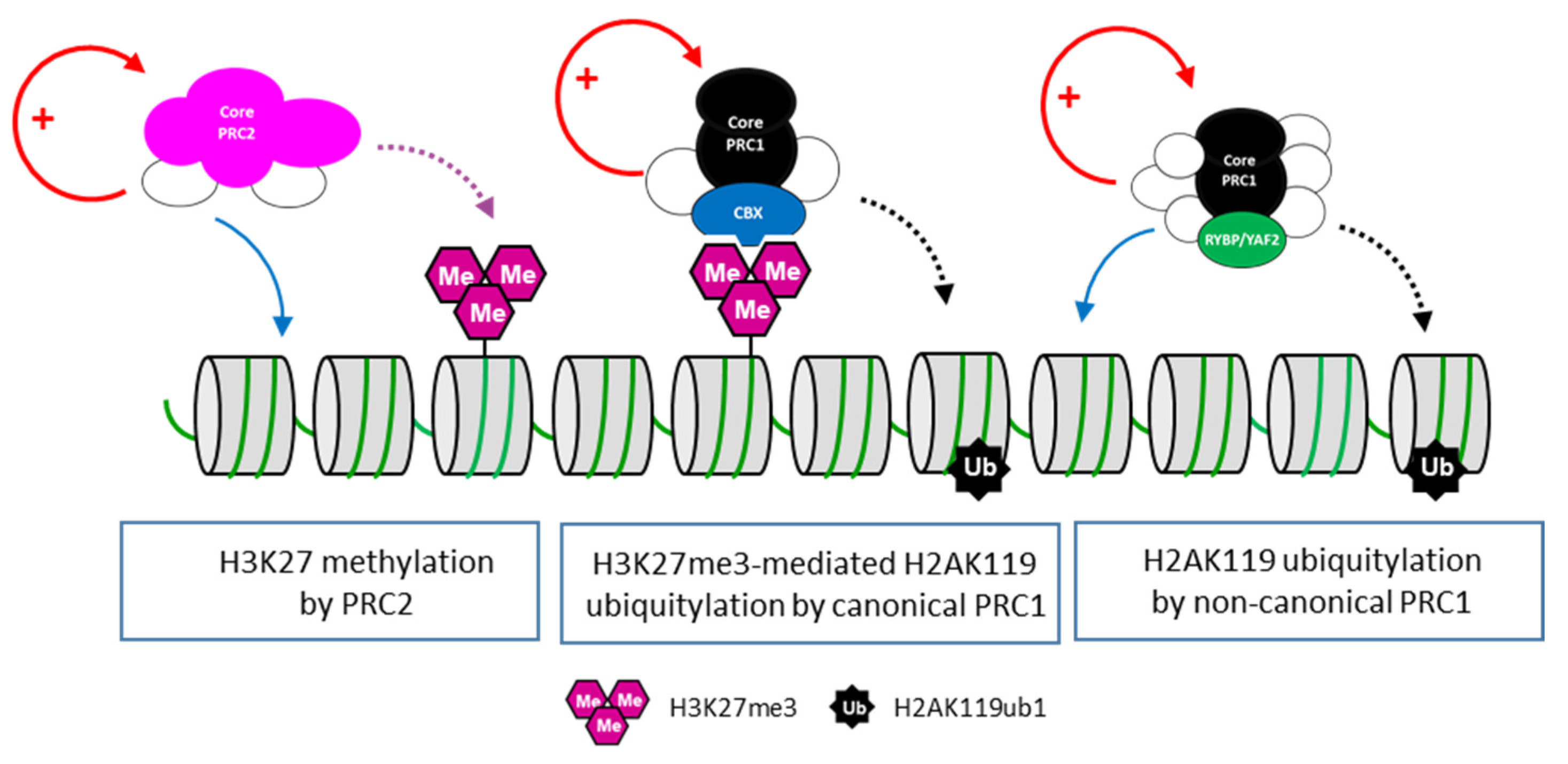 Ijms 24 02322 g002 Ijms 24 02322 g002