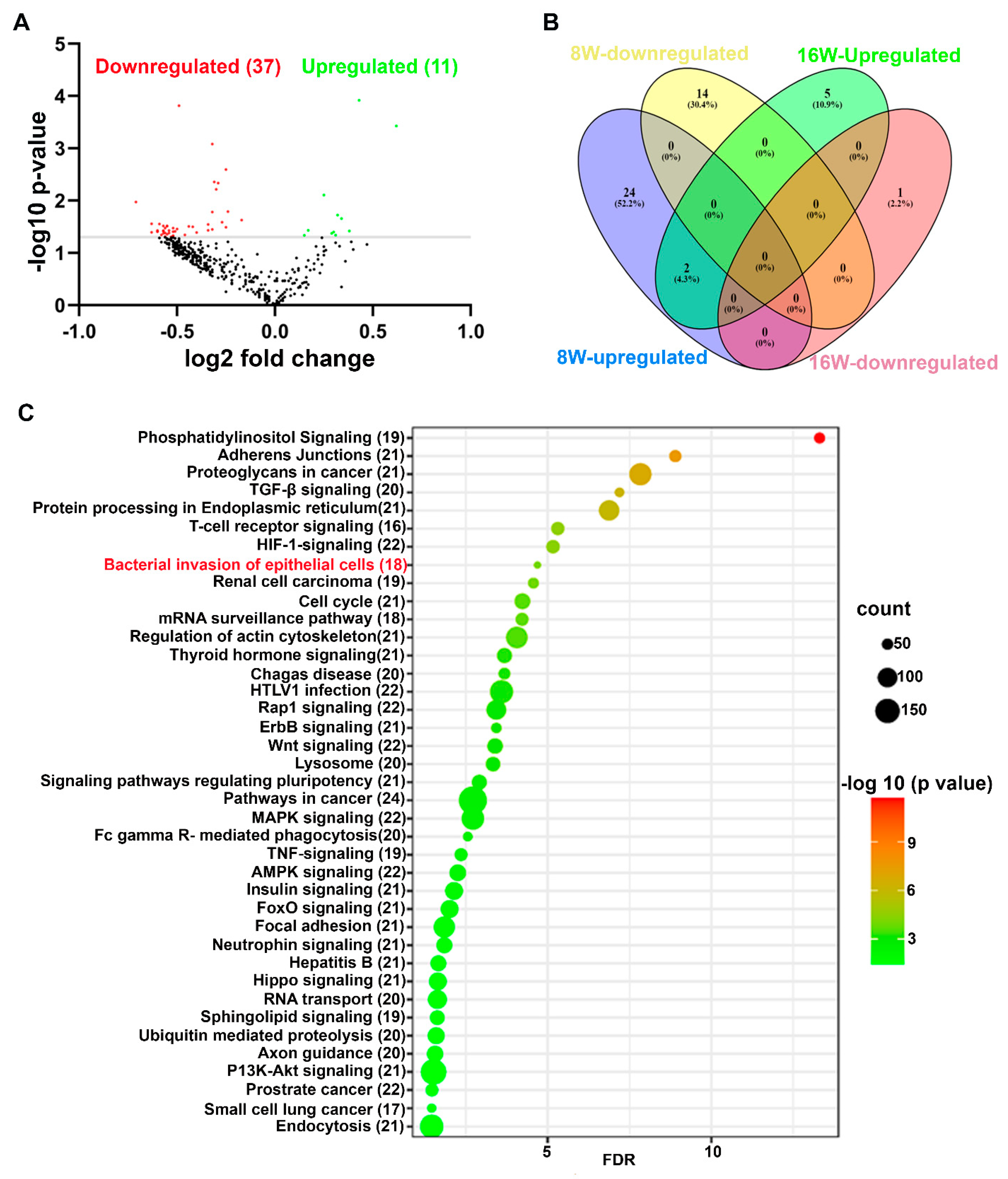 Ijms 24 02327 g002 Ijms 24 02327 g002