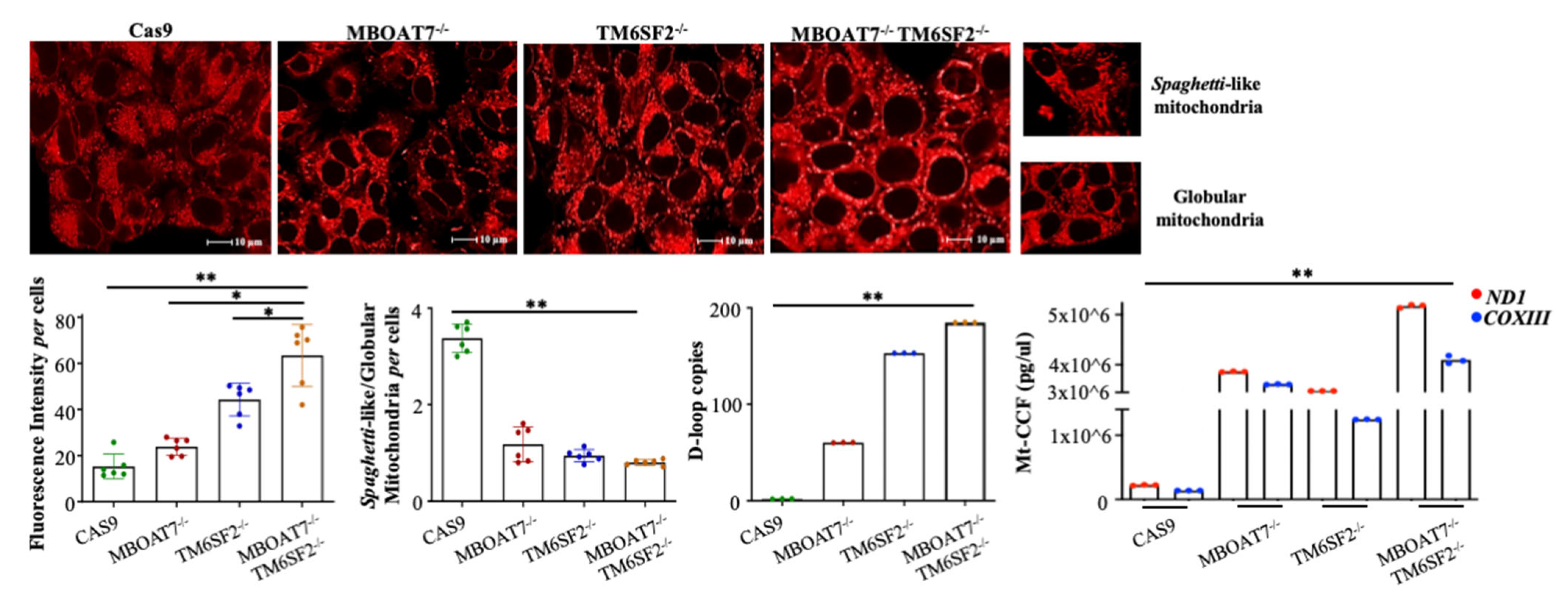 Ijms 24 02331 g001 Ijms 24 02331 g001