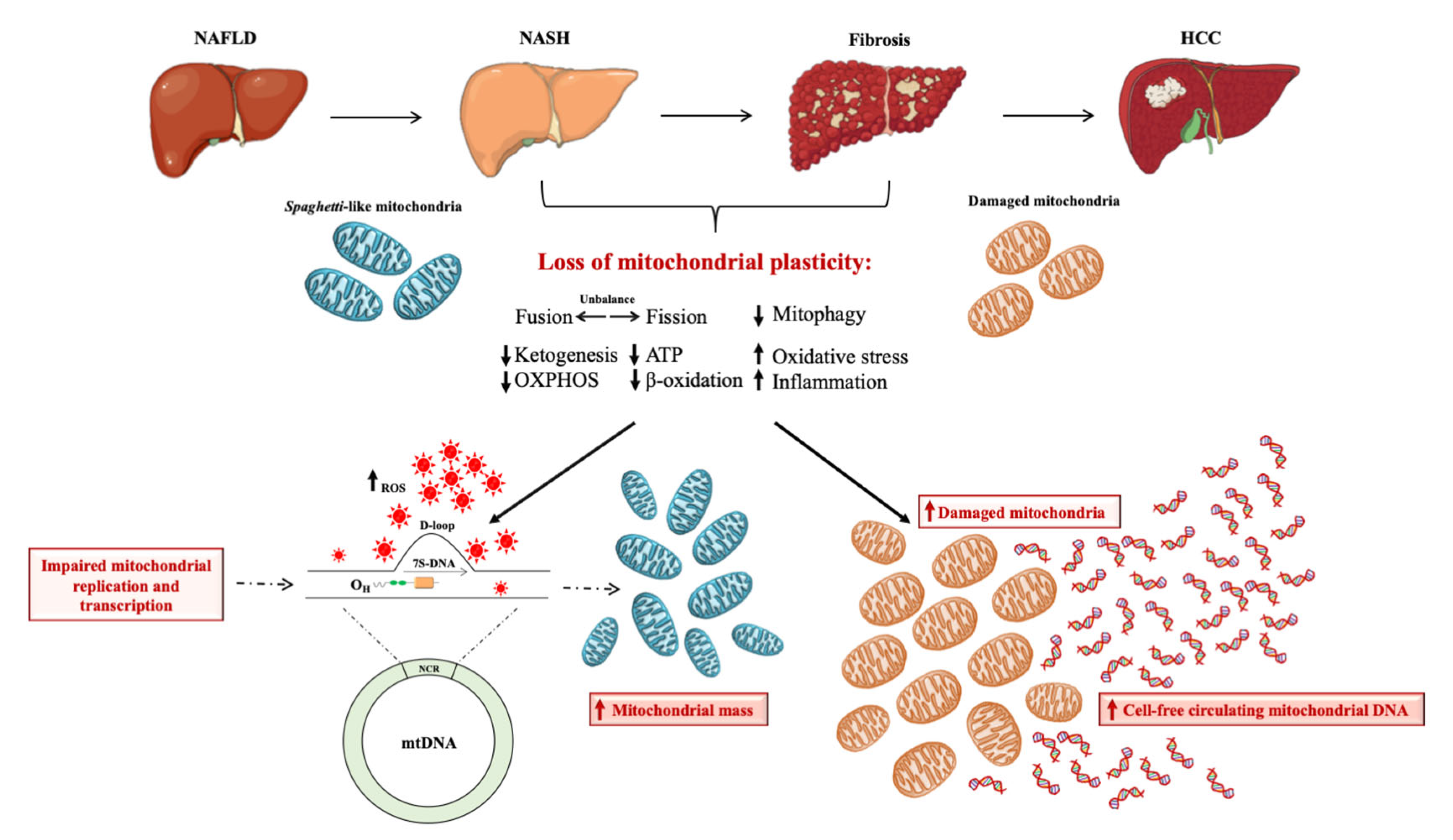 Ijms 24 02331 g002 Ijms 24 02331 g002