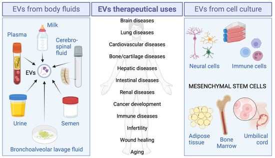 IJMS | Free Full-Text | Extracellular Vesicles as Therapeutic