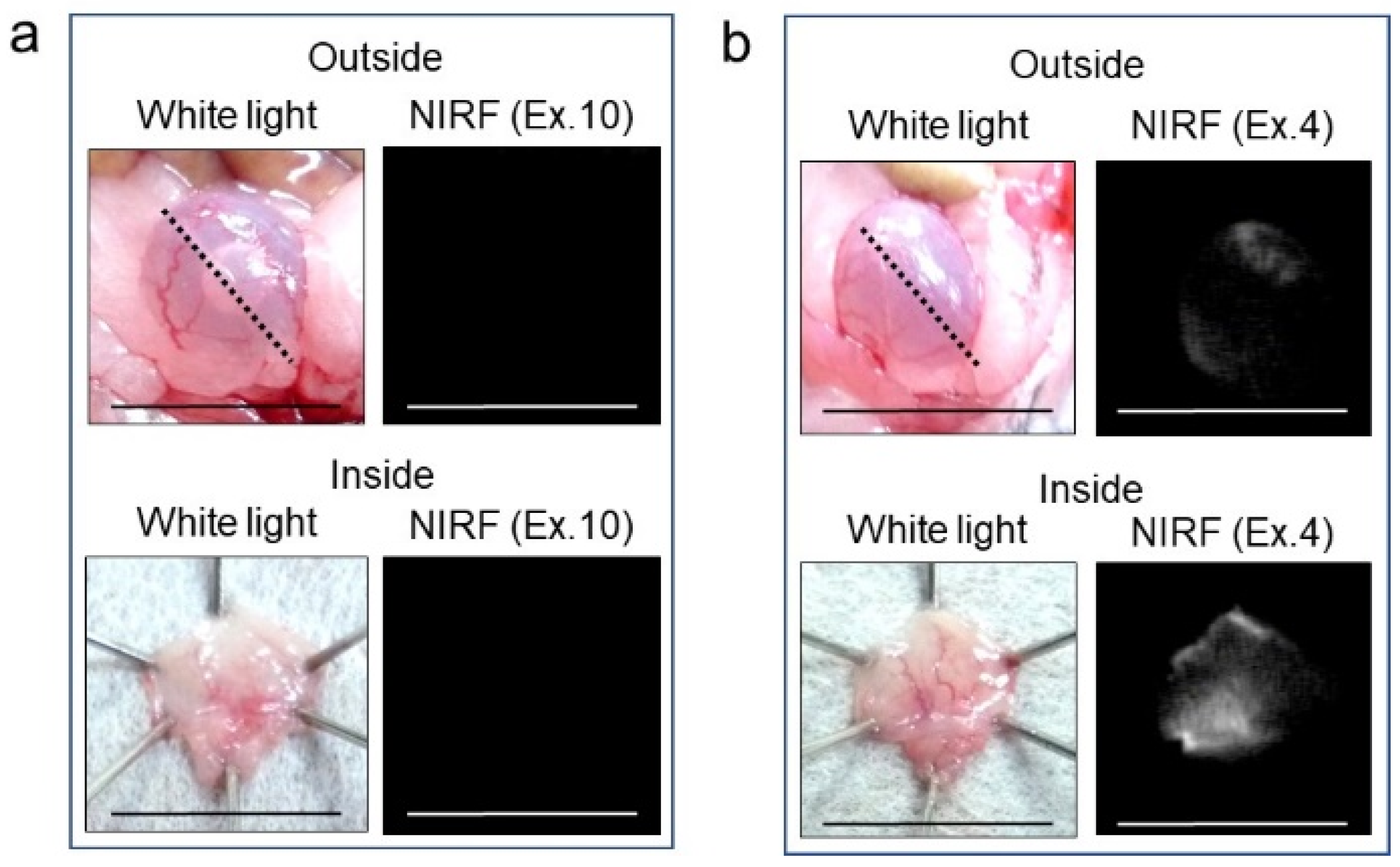 Ijms 24 02349 g003 Ijms 24 02349 g003