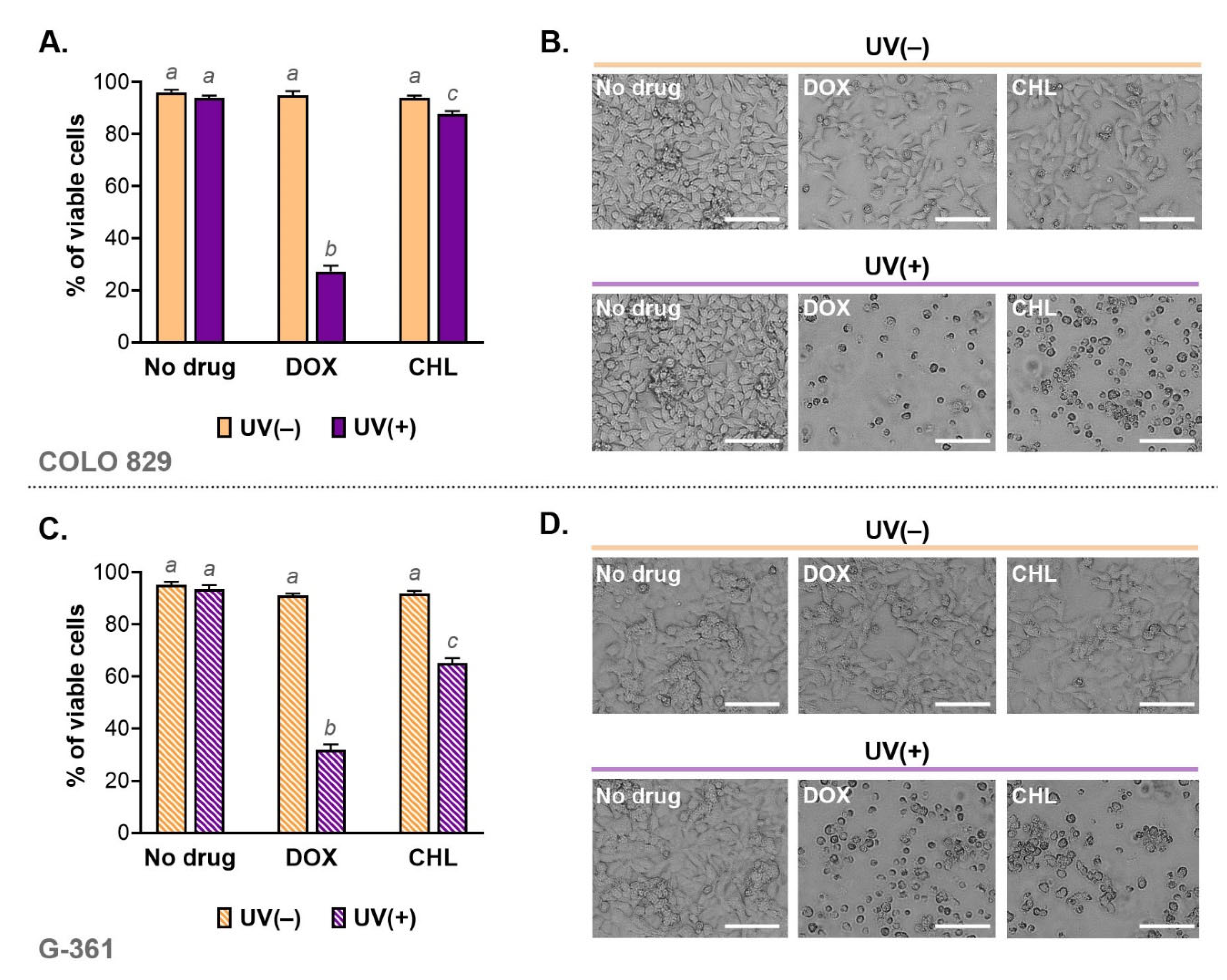 Ijms 24 02353 g002 Ijms 24 02353 g002