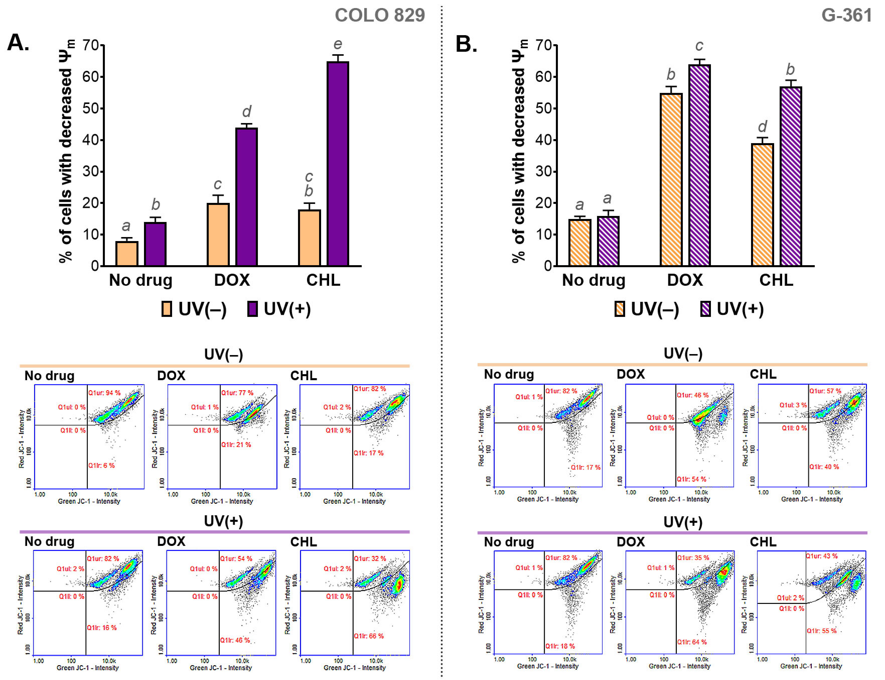 Ijms 24 02353 g004 Ijms 24 02353 g004