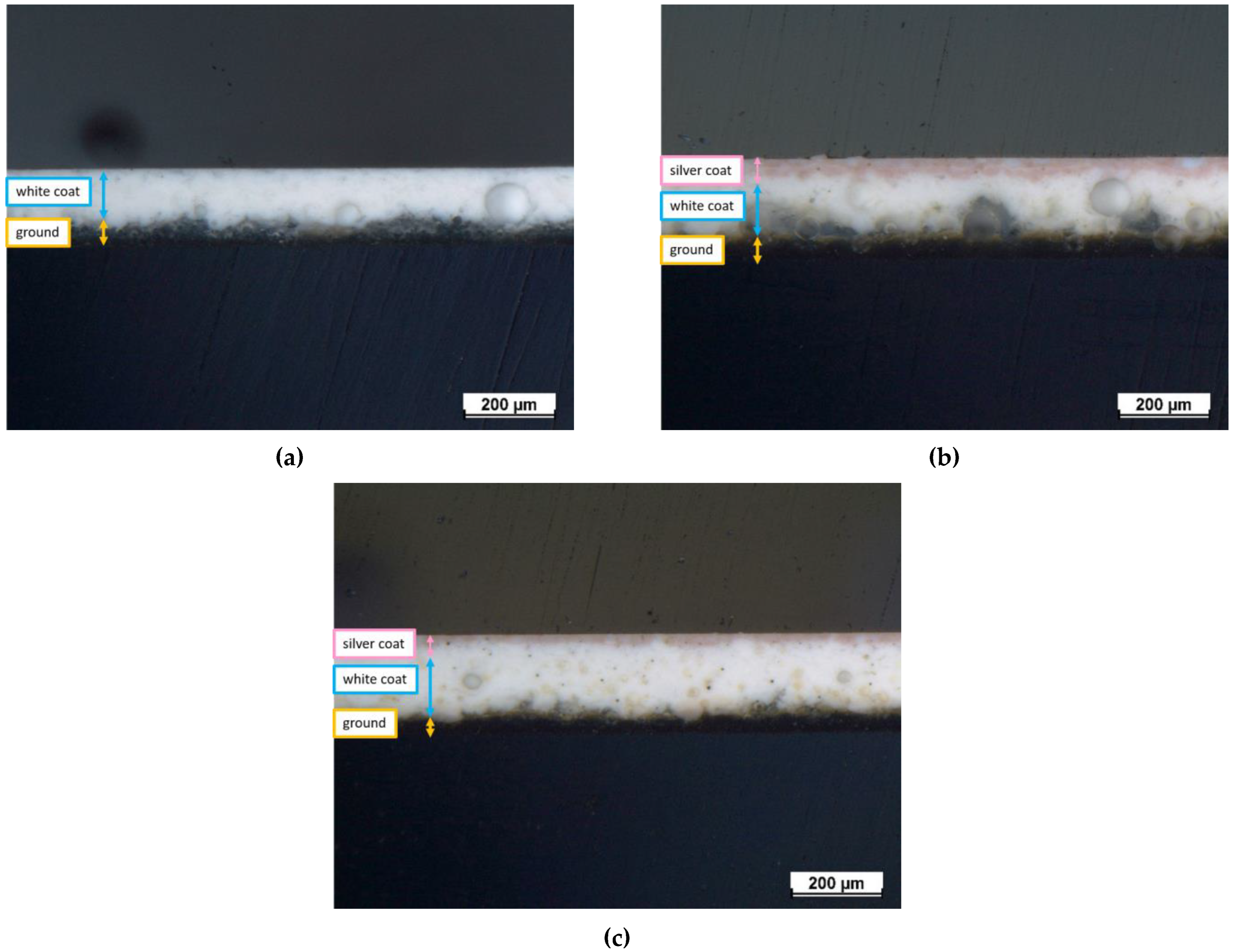 Ijms 24 02364 g003 Ijms 24 02364 g003