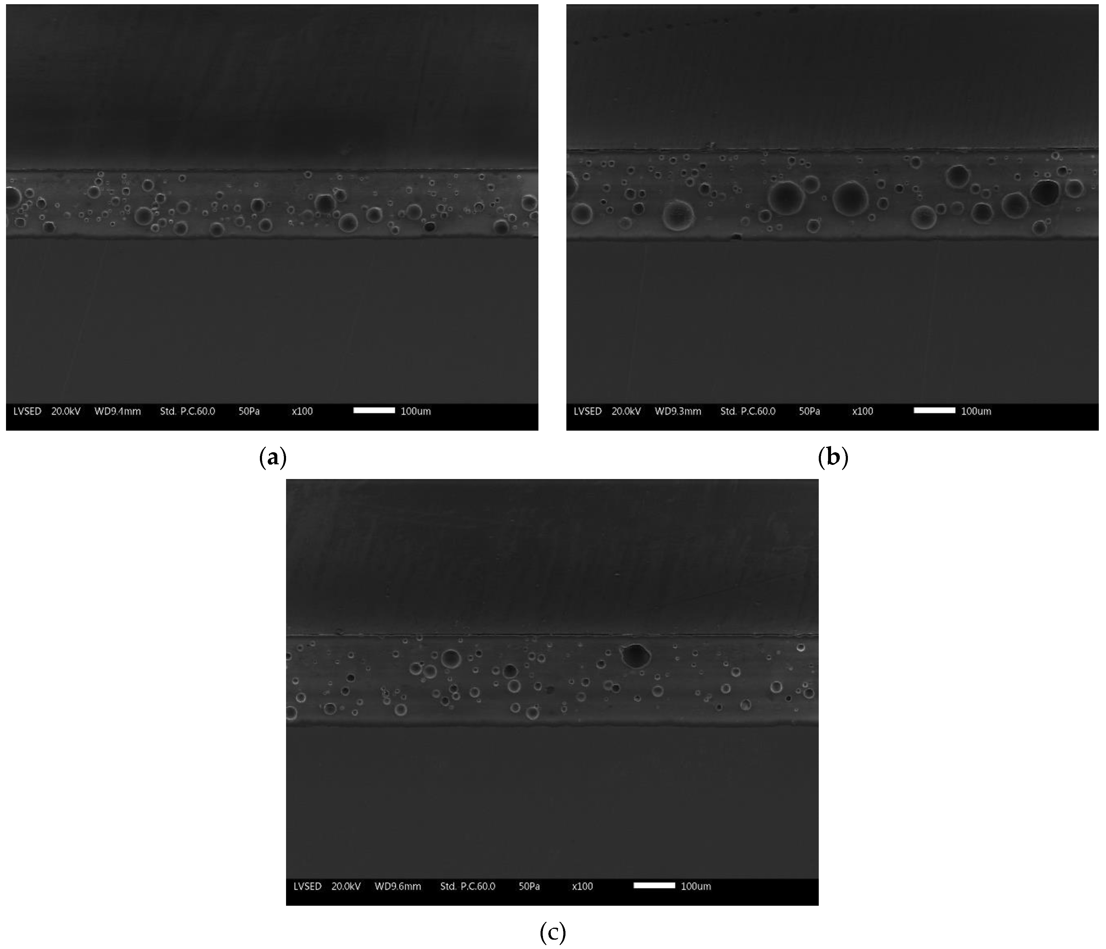 Ijms 24 02364 g004 Ijms 24 02364 g004